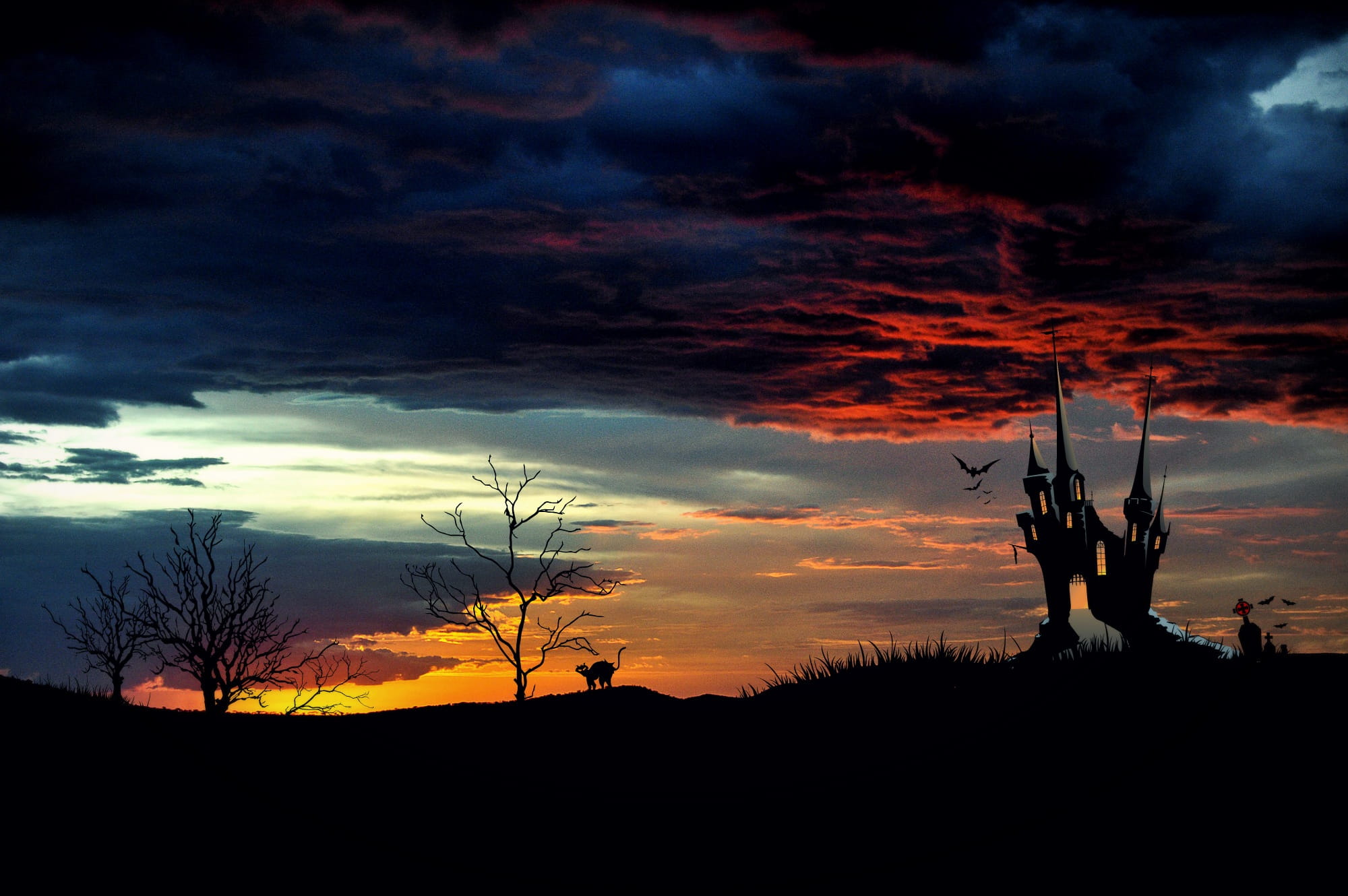 dramatic sky, cloud - sky, castle, bare tree, sky, nature, tranquil scene, outdoors, beauty in nature, plant, environment, silhouette, sunset, tree, orange color, HD Wallpaper