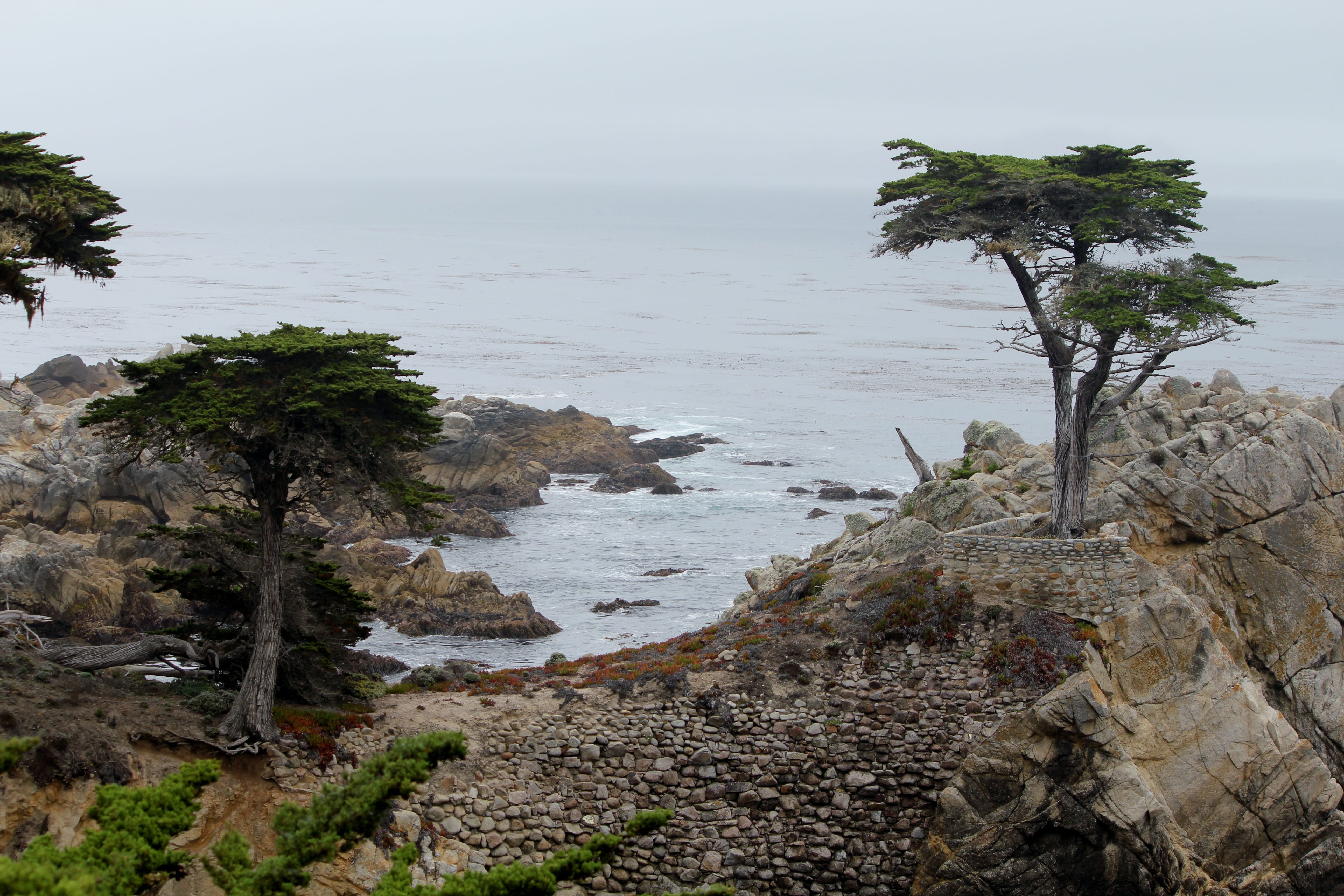 nature, 5K, water, tranquility, day, land, 17 mile drive, california, cypress tree, beach, outdoors, sky, non-urban scene, tree, rock - object, sea, scenics - nature, HD Wallpaper
