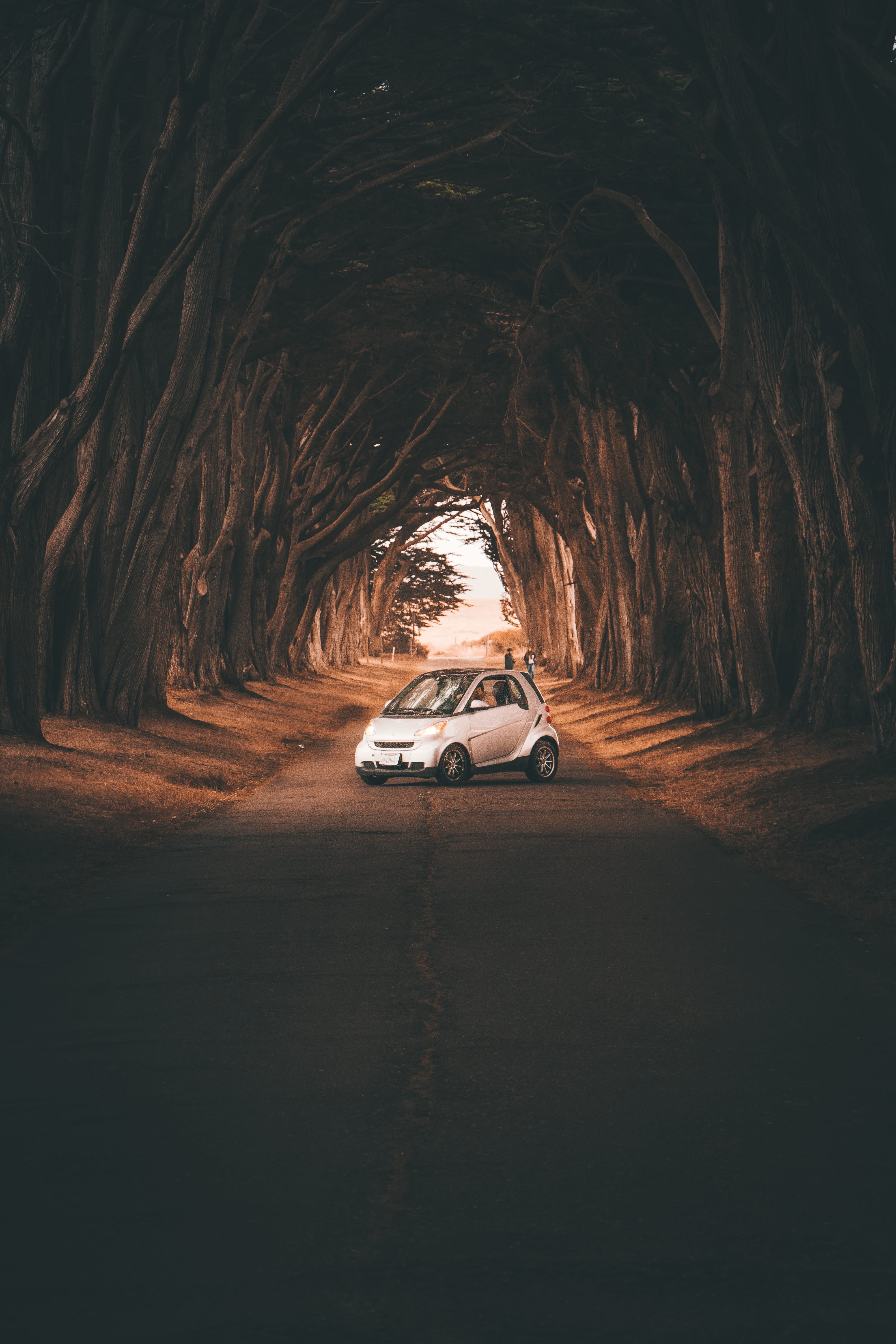 outdoors, mode of Transport, speed, travel, 4x4, drive, traffic, forest, off-Road Vehicle, land Vehicle, dirt Road, 5K, nature, modern, sports Car, sports Utility Vehicle, Phone HD Wallpaper