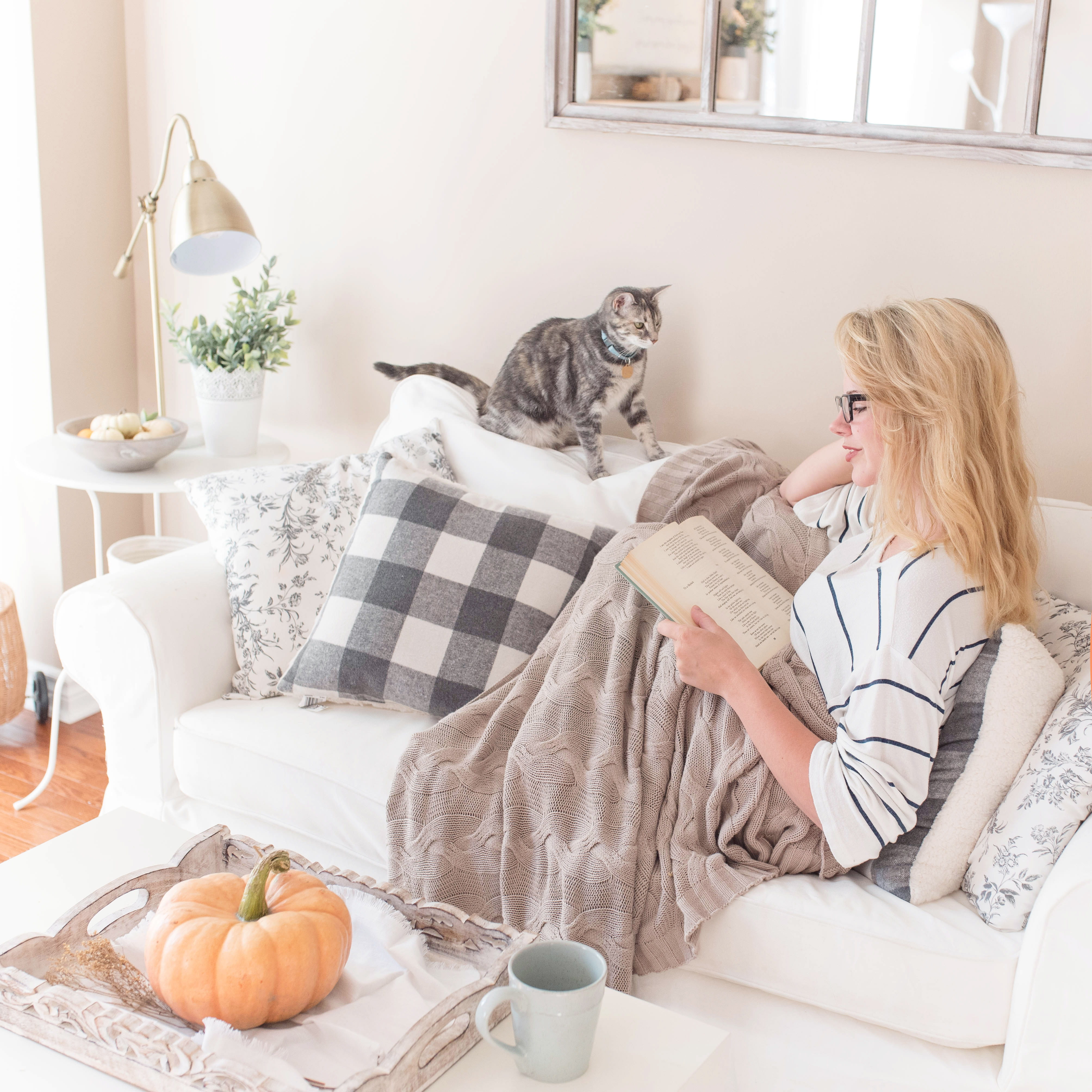 relaxation, pets, one animal, hairstyle, mammal, farmhouse, sofa, home interior, lifestyles, fall, furniture, domestic room, indoors, domestic cat, book, Phone HD Wallpaper