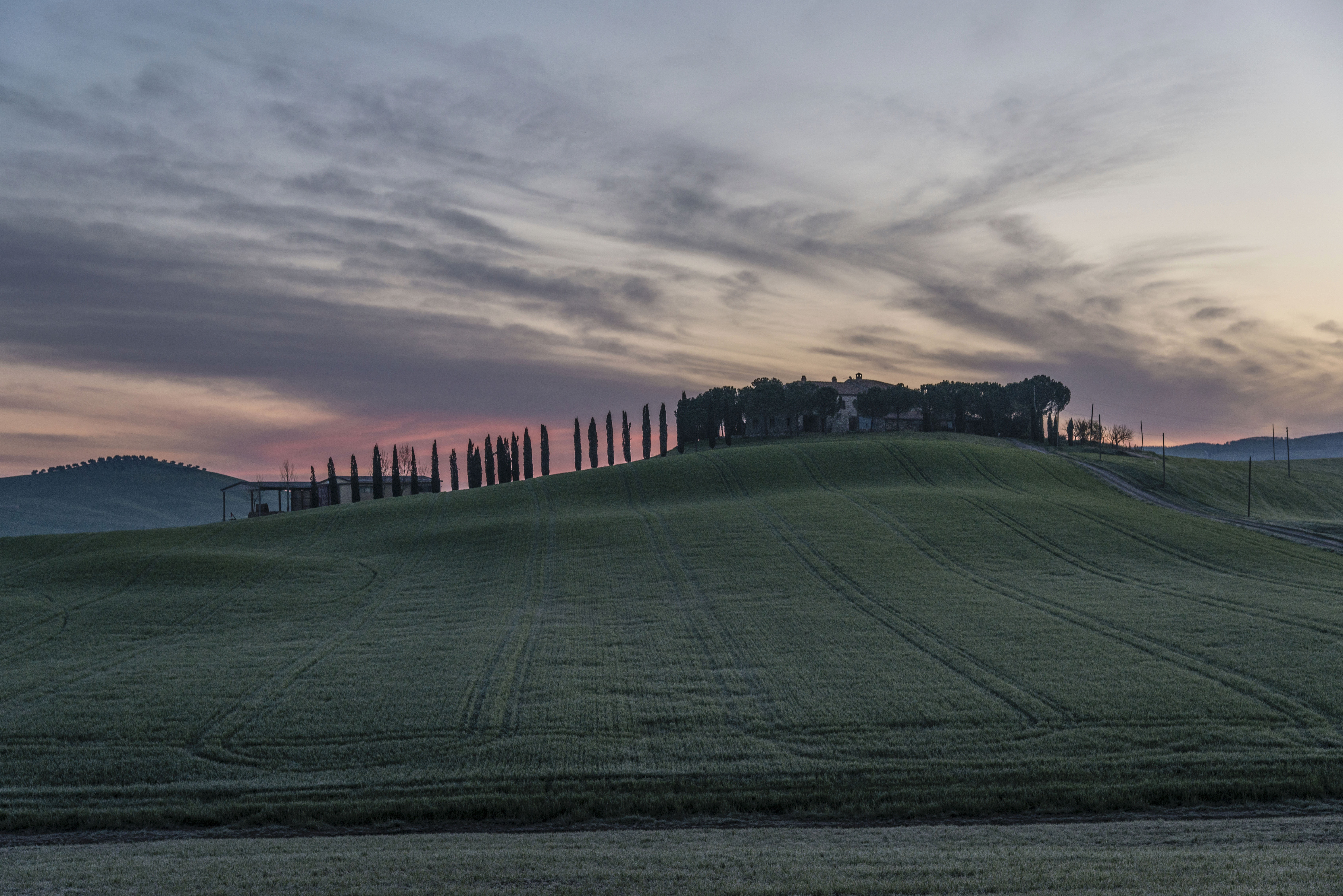 trees, nature, tranquil scene, hill, grass, italian Cypress, agriculture, outdoors, farm, rural Scene, landscaped, land, meadow, travel, green, field, no people, HD Wallpaper
