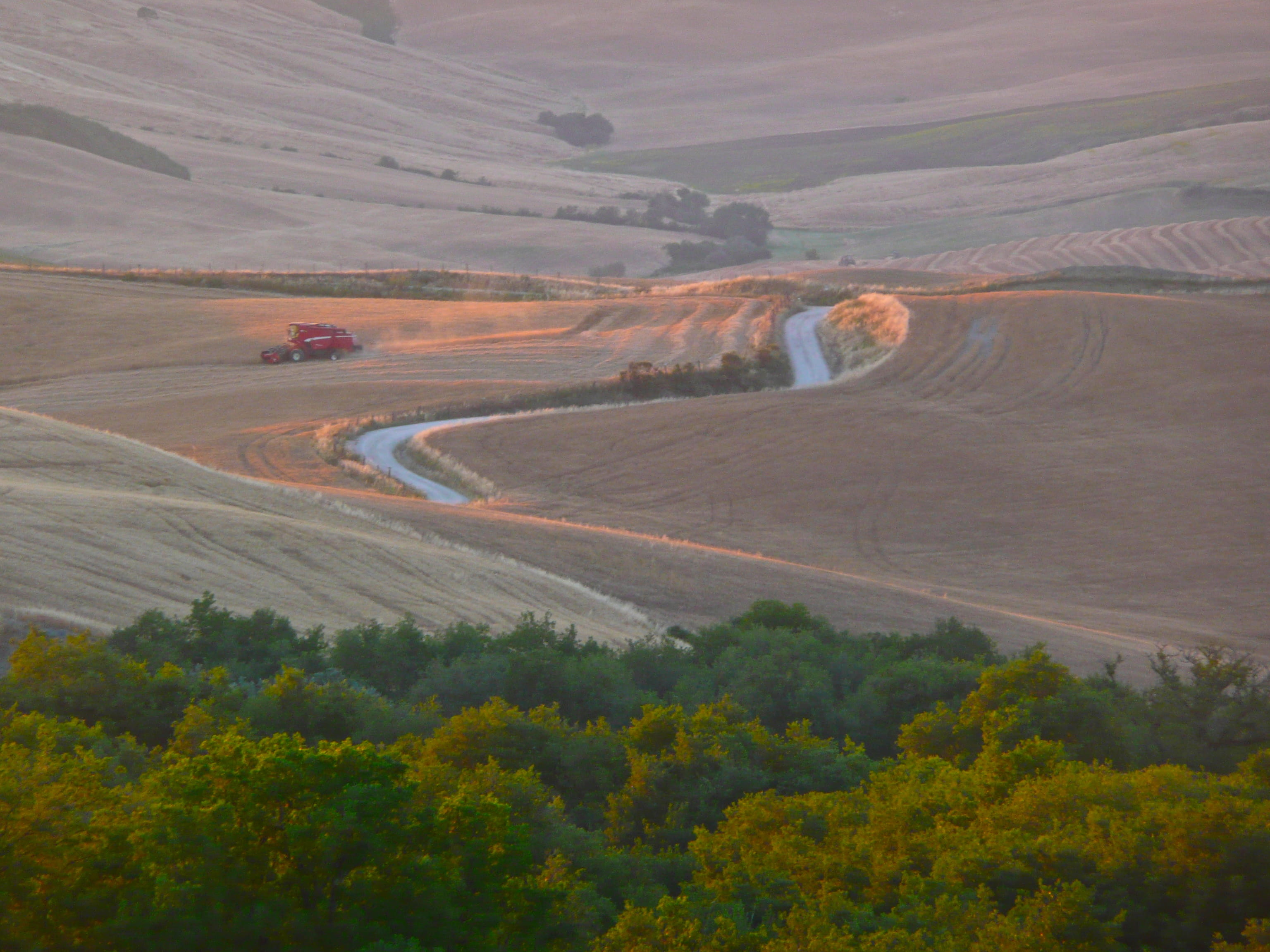 tranquil scene, non-urban scene, plant, tranquility, outdoors, field, 2K, scenics - nature, road, high angle view, tree, rolling landscape, land, italy, HD Wallpaper