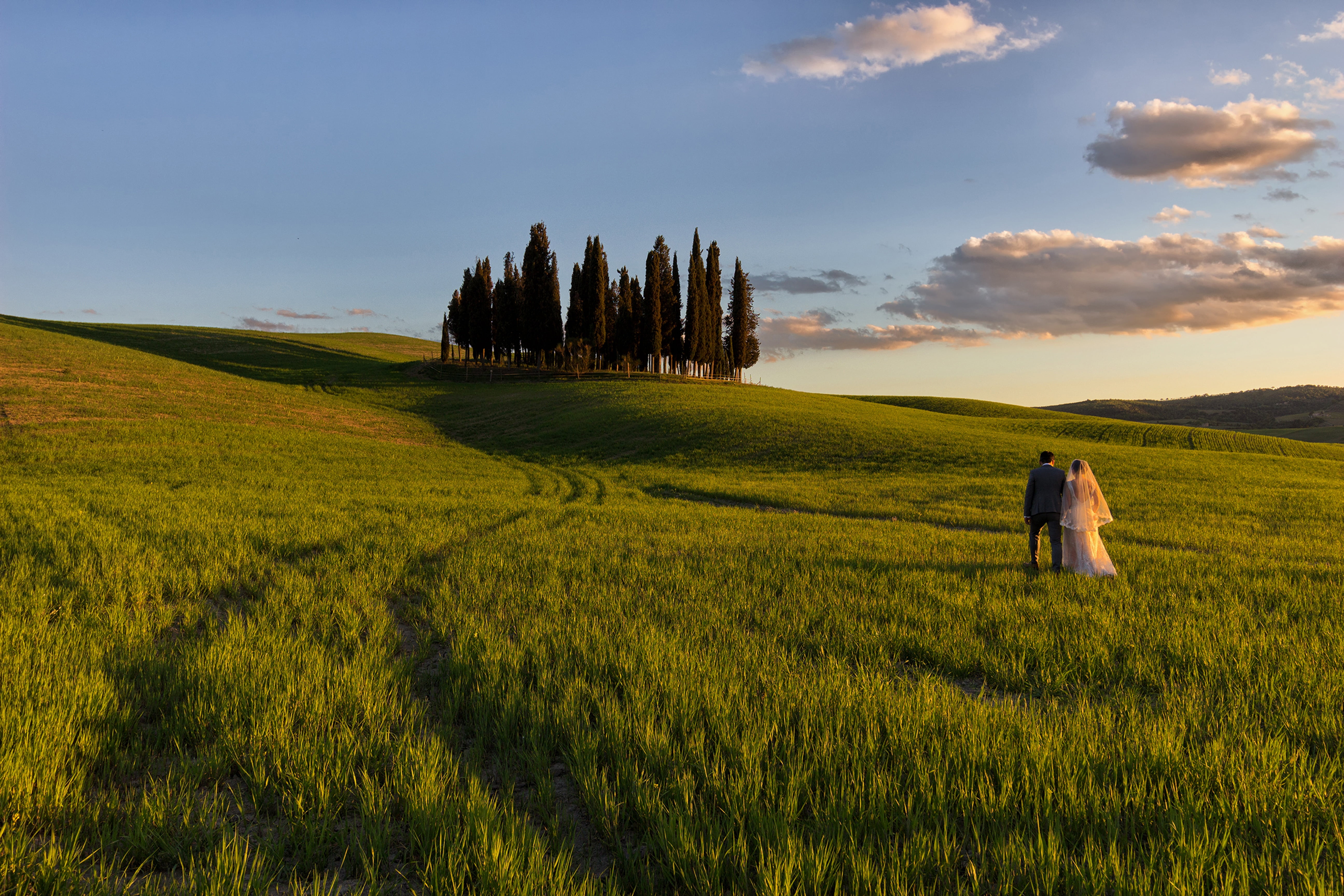 ray, backlight, tranquility, silhouettes, cereal plant, good morning, sunny, scenics - nature, siena, green color, italy, cloud, beauty in nature, atmosphere, HD Wallpaper