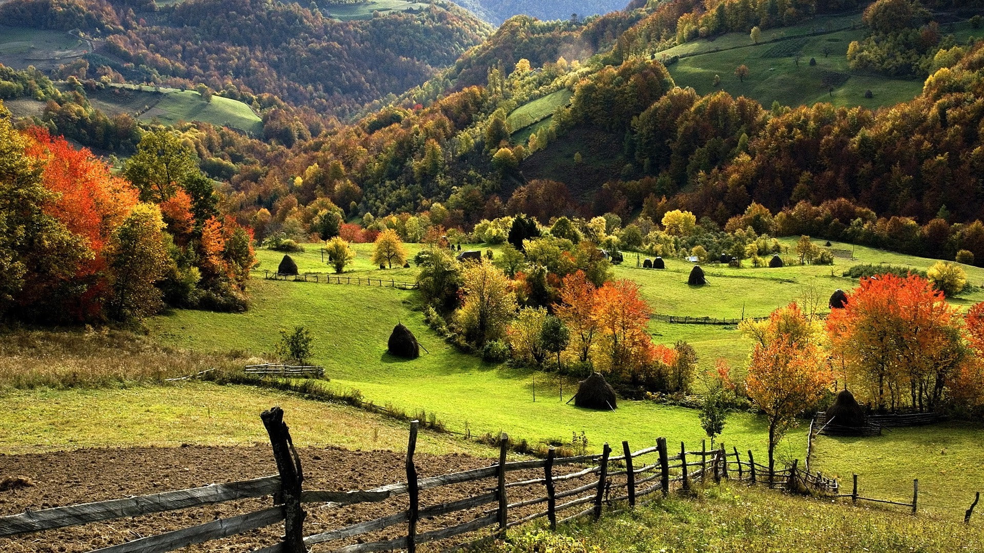 growth, nature landscape trees forest mountain hill field grass fall fence hay haystacks sumadija, tree, 1080P, outdoors, day, autumn, scenics - nature, HD Wallpaper