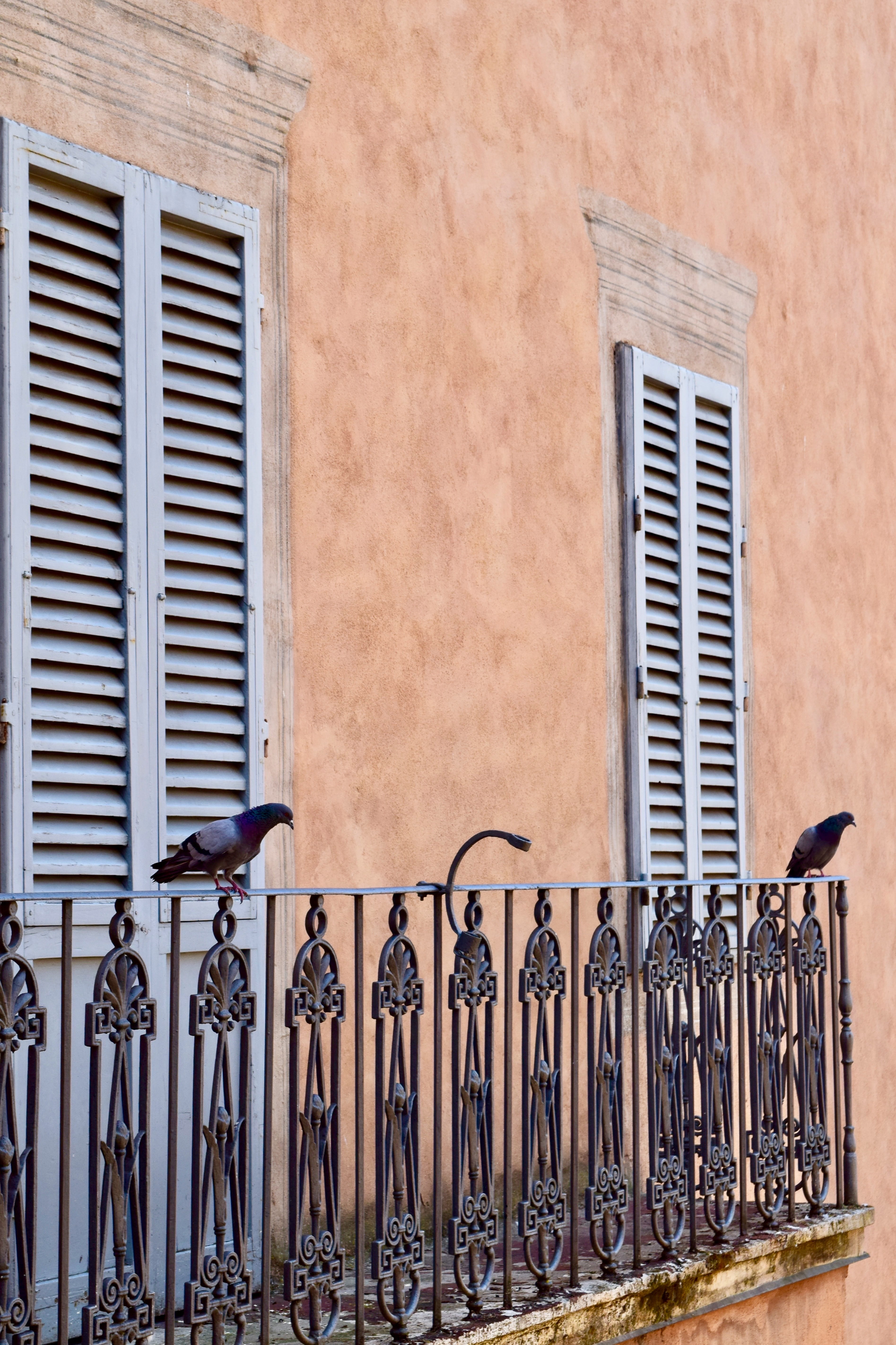 house, 5K, transportation, building exterior, outdoors, closed, built structure, architecture, pattern, bicycle, shutter, siena, residential district, Phone HD Wallpaper