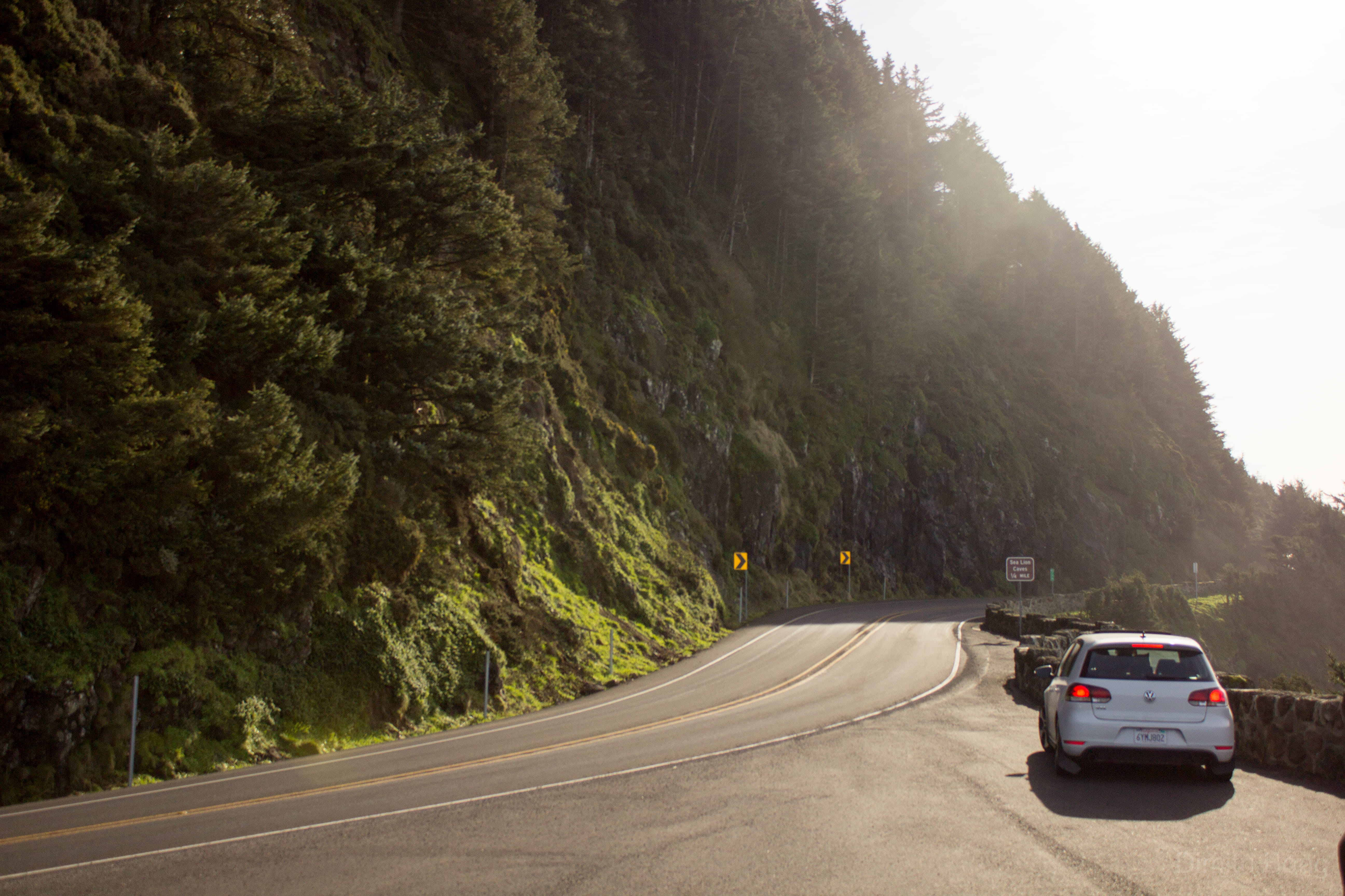 oregon, motion, coast, car, day, wall, street, road, motor vehicle, florence, mode of transportation, direction, transportation, on the move, land vehicle, HD Wallpaper