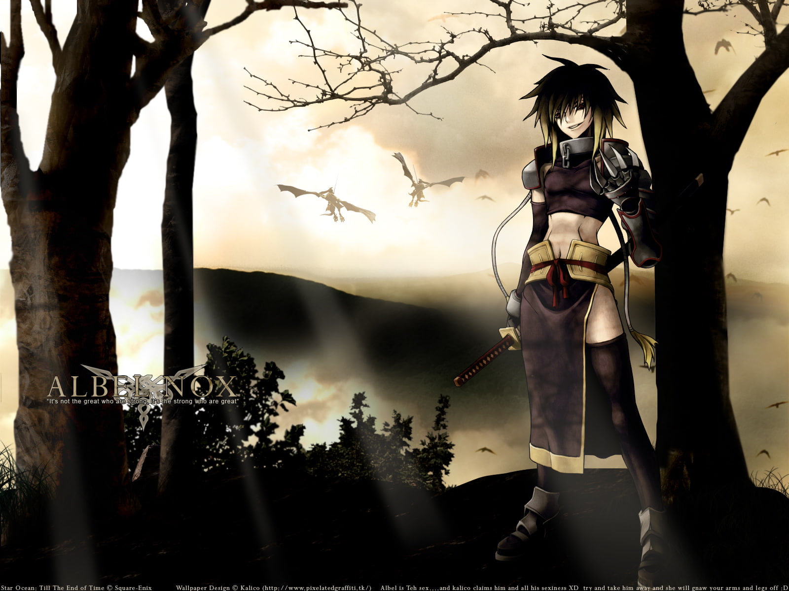 weapon, albel, 720P, sword, ocean, nox, star, HD Wallpaper