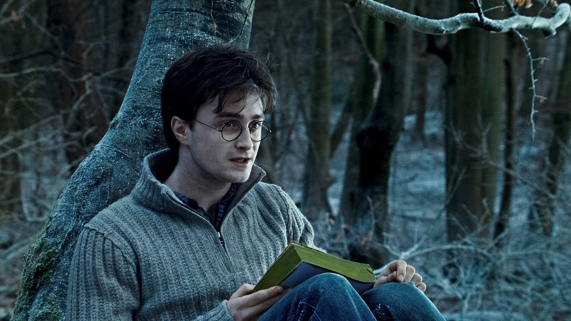 1080P, Harry Potter and the Deathly Hallows: Part 1, Harry Potter, HD Wallpaper