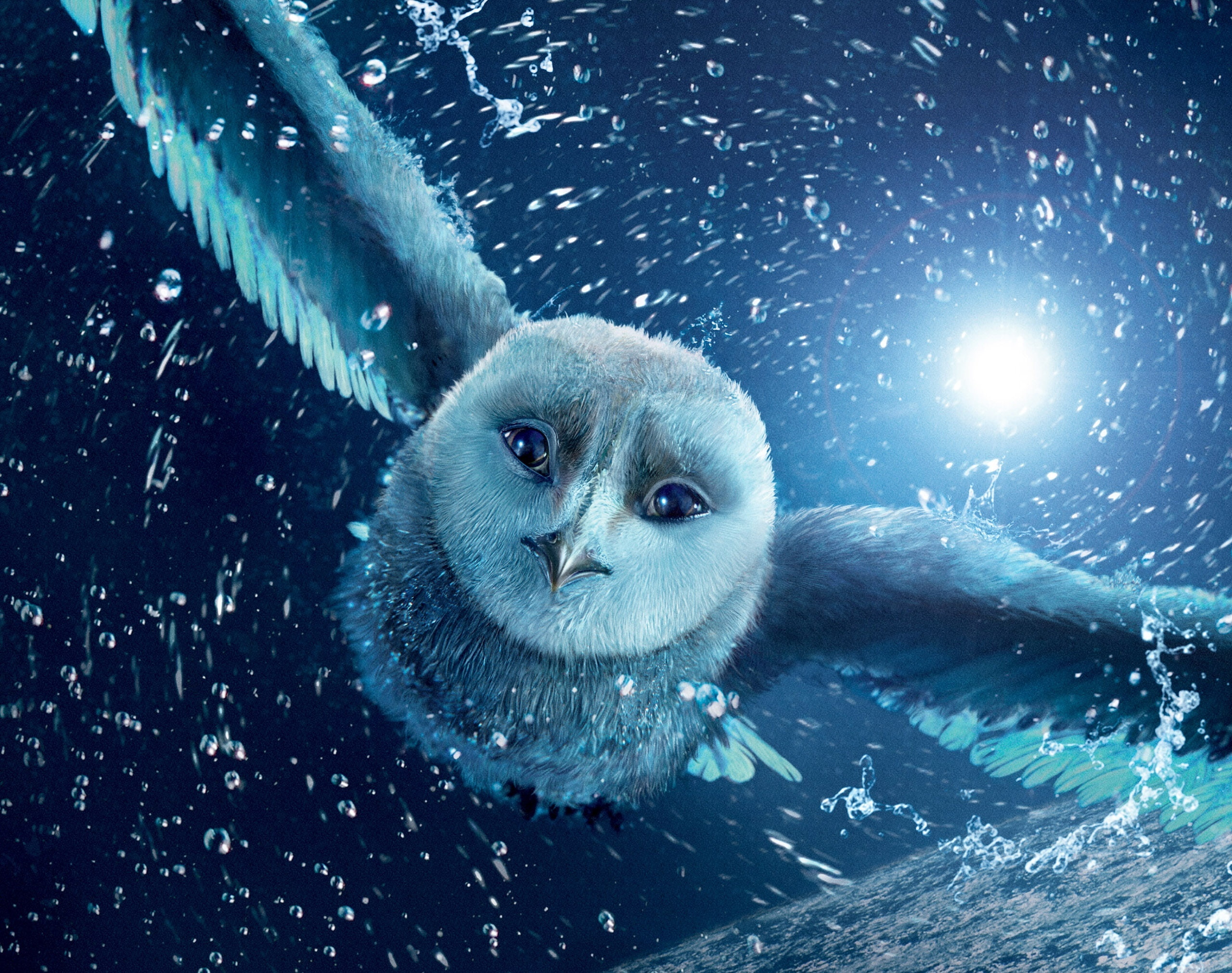 splashing, marine, vertebrate, owl, underwater, legend of the guardians, brown, 2010 movie, 2K, one animal, motion, owls, portrait, Others, digital composite, HD Wallpaper