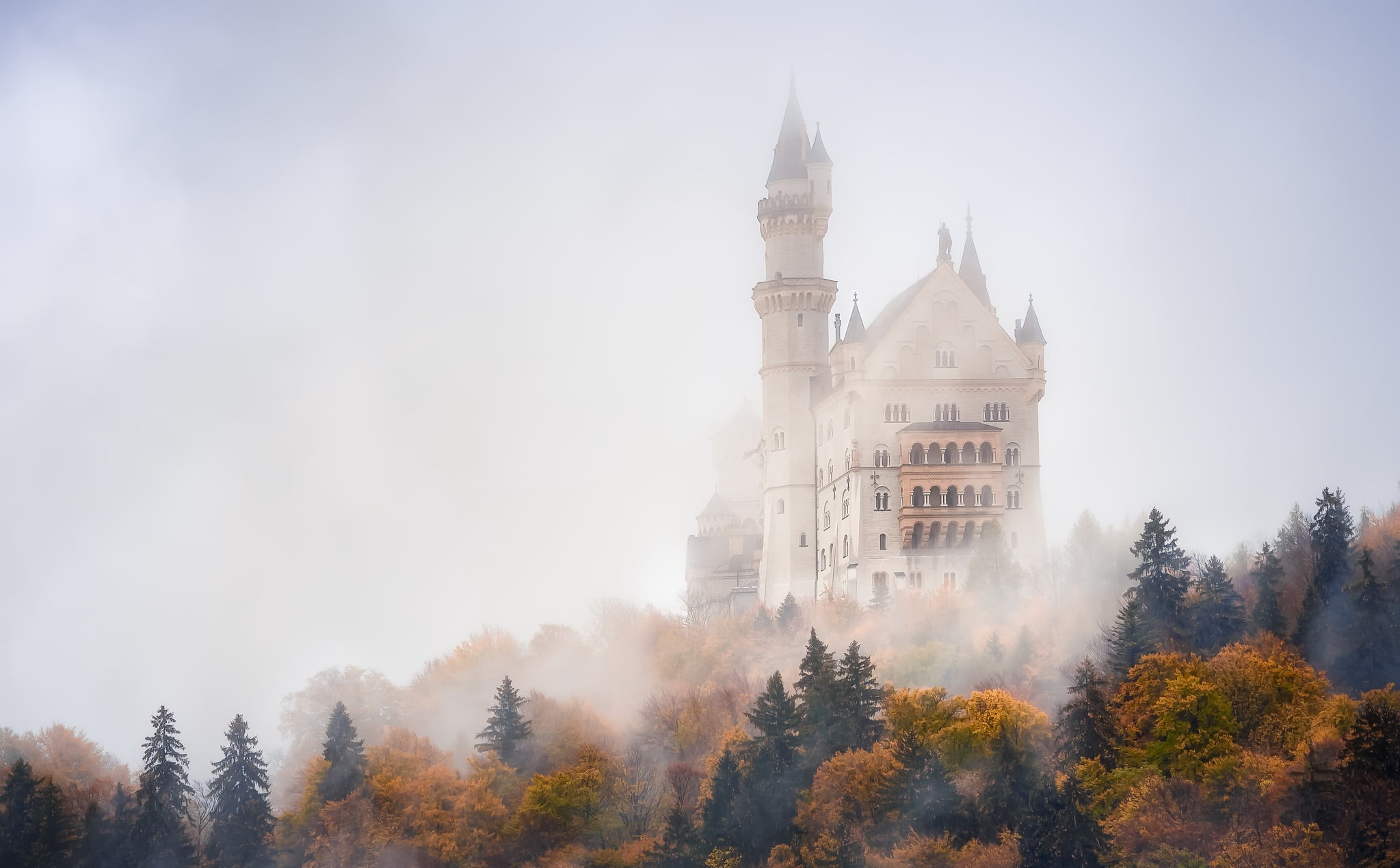 1080P, Fog, Neuschwanstein Castle, Germany, Castle, Castles, HD Wallpaper