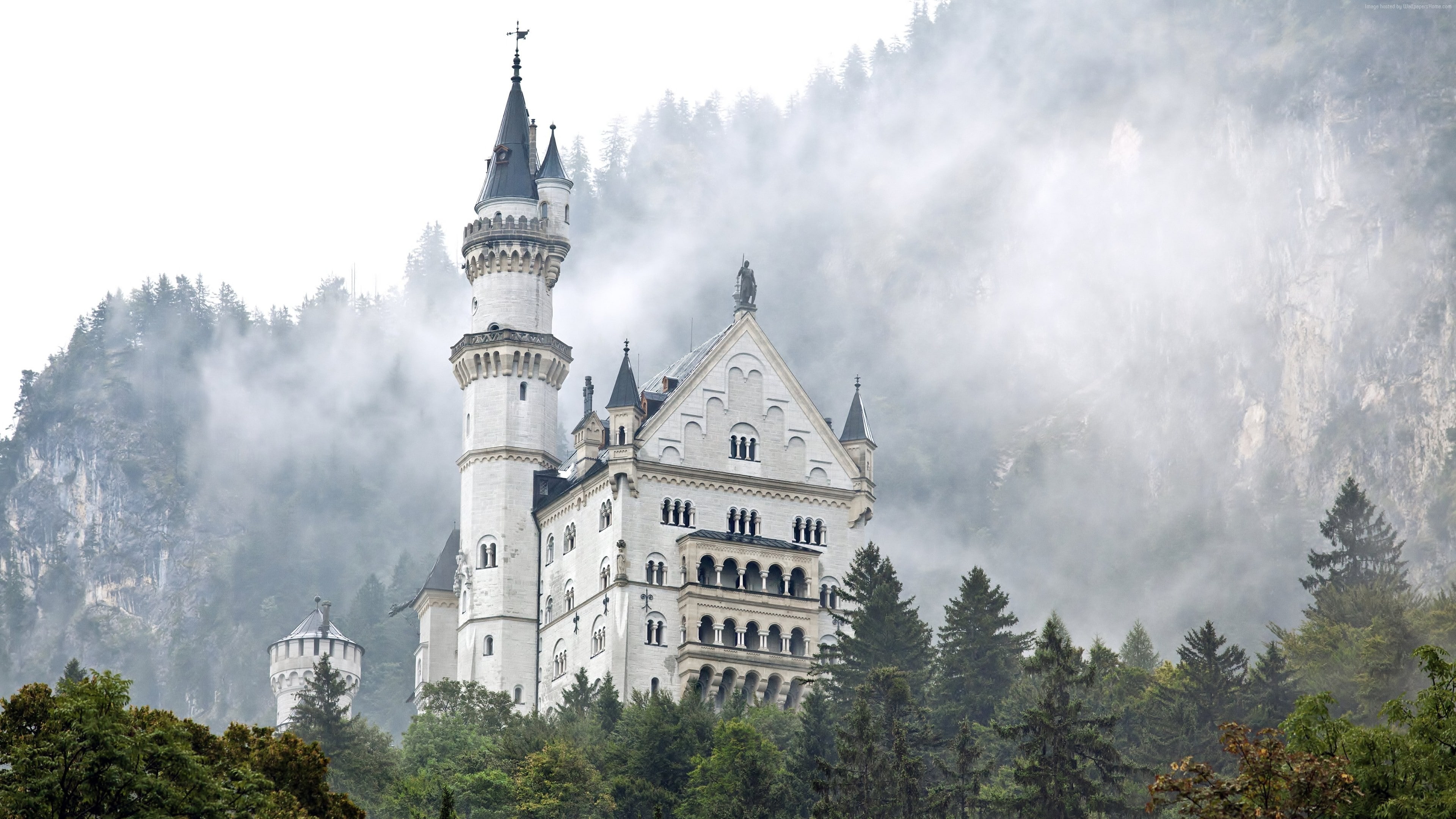 forest, Germany, trees, 4K, Neuschwanstein castle, smoke, HD Wallpaper