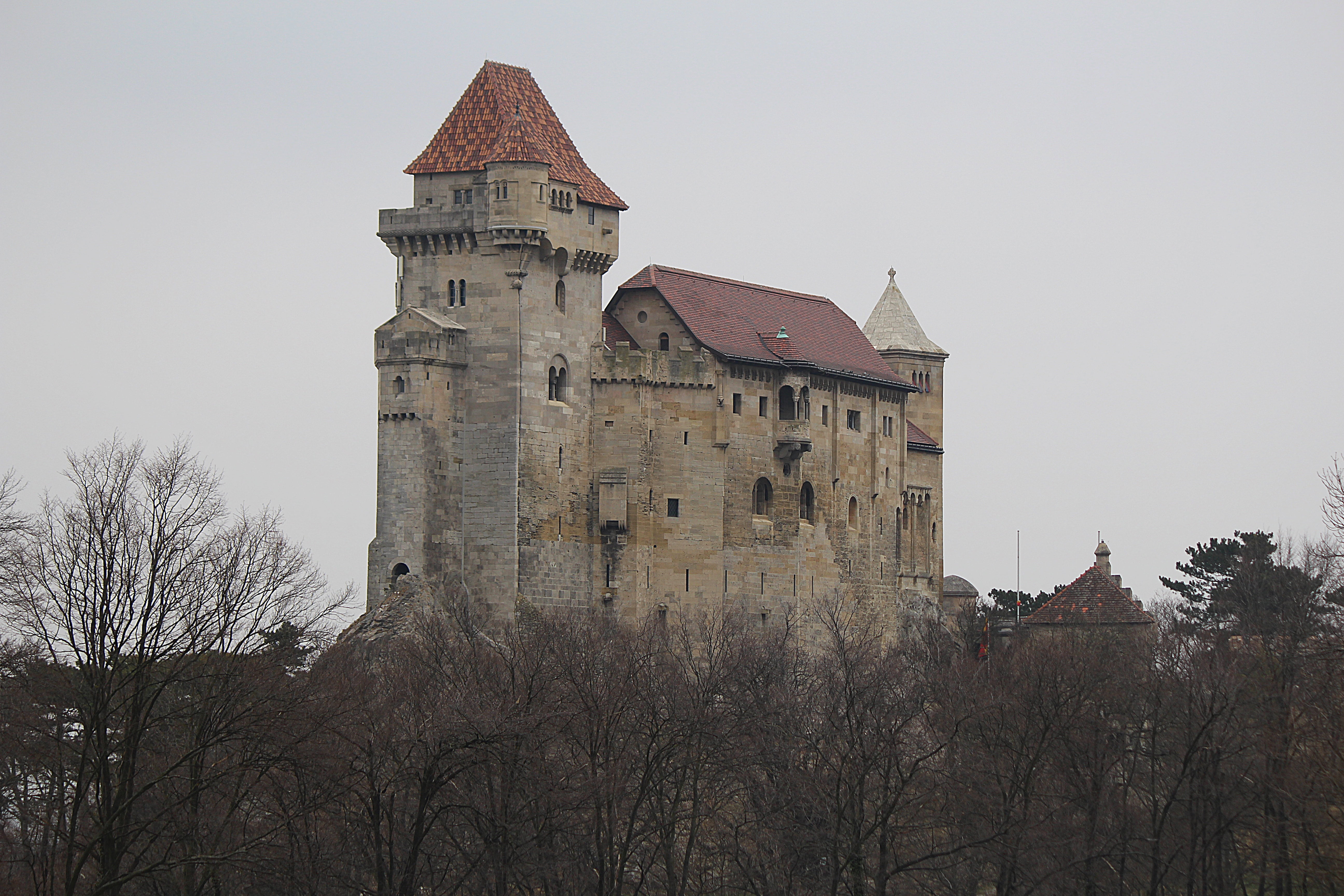 plant, religion, building exterior, outdoors, day, tree, travel destinations, fort, nature, spire, middle ages, clock, lichtenstein, tower, architecture, HD Wallpaper