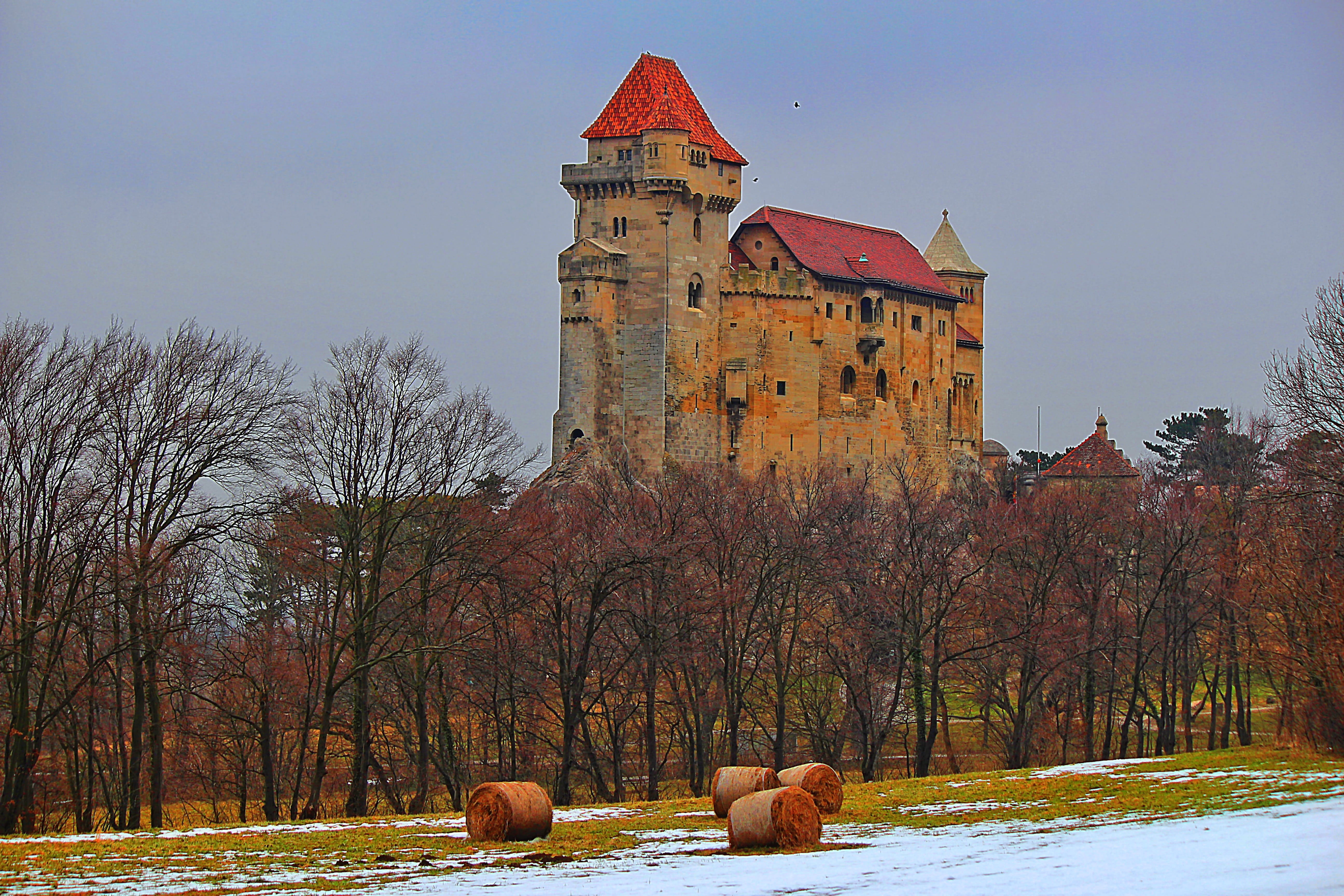 burg lichtenstein, knights castle, animal, 5K, built structure, the past, travel destinations, Castle, cold temperature, castle, tree, day, architecture, HD Wallpaper