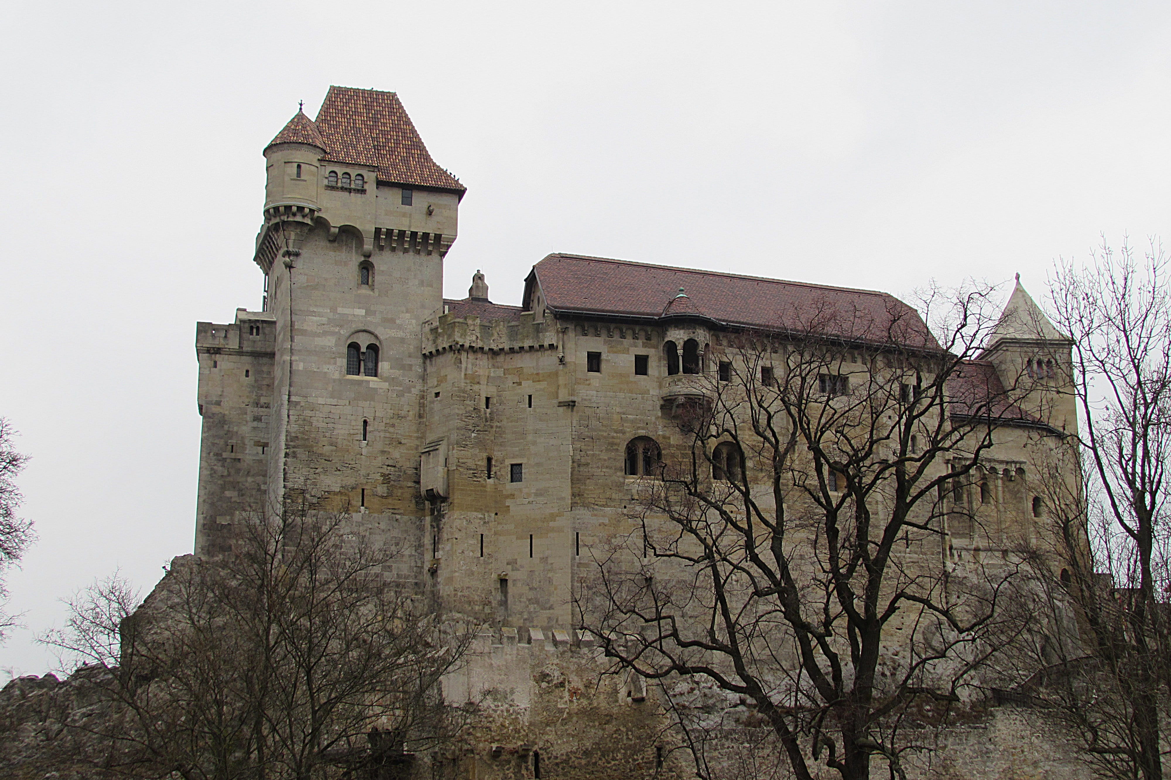 building exterior, tower, nature, knights castle, the past, castle, outdoors, middle ages, travel destinations, winter, building, low angle view, 4K, old, HD Wallpaper