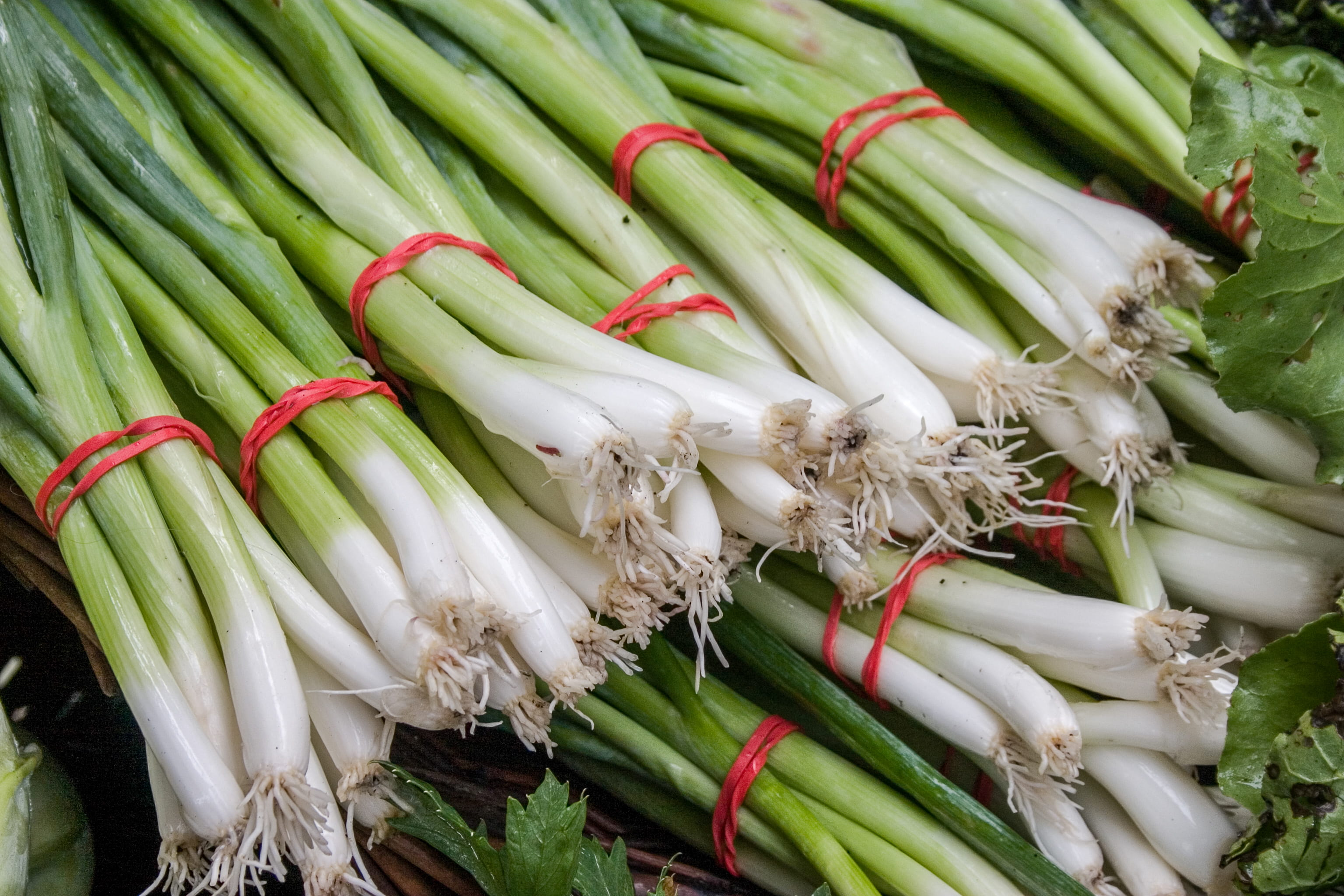 michigan, farmers market, large group of objects, bundle, vegetable, market, abundance, healthy eating, onion, fulton street farmers market, wellbeing, HD Wallpaper