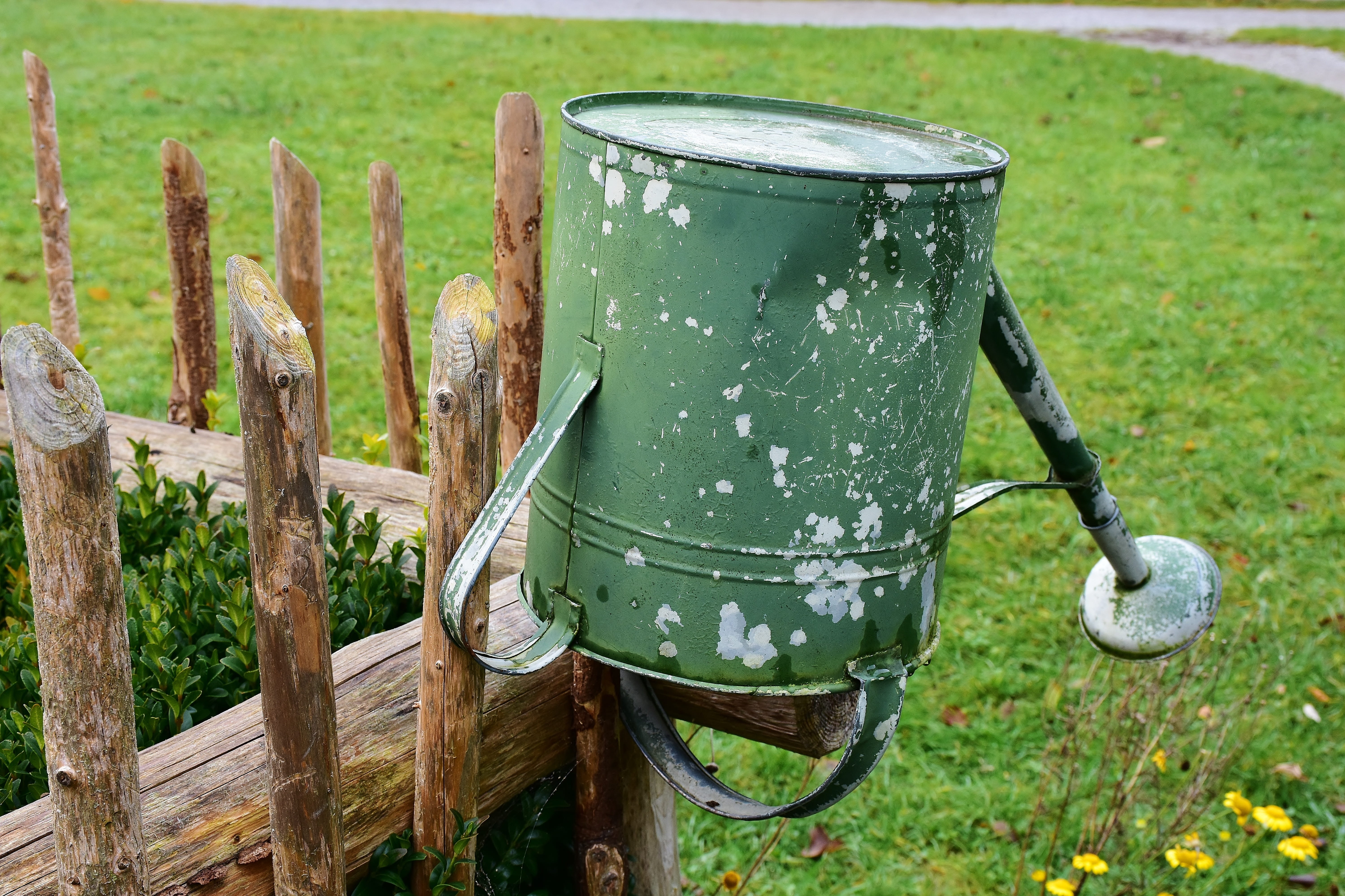 growth, day, protection, weathered, steel, field, no people, pitcher - jug, green color, sheet metal maker, paling, limit, old, wood - material, container, HD Wallpaper