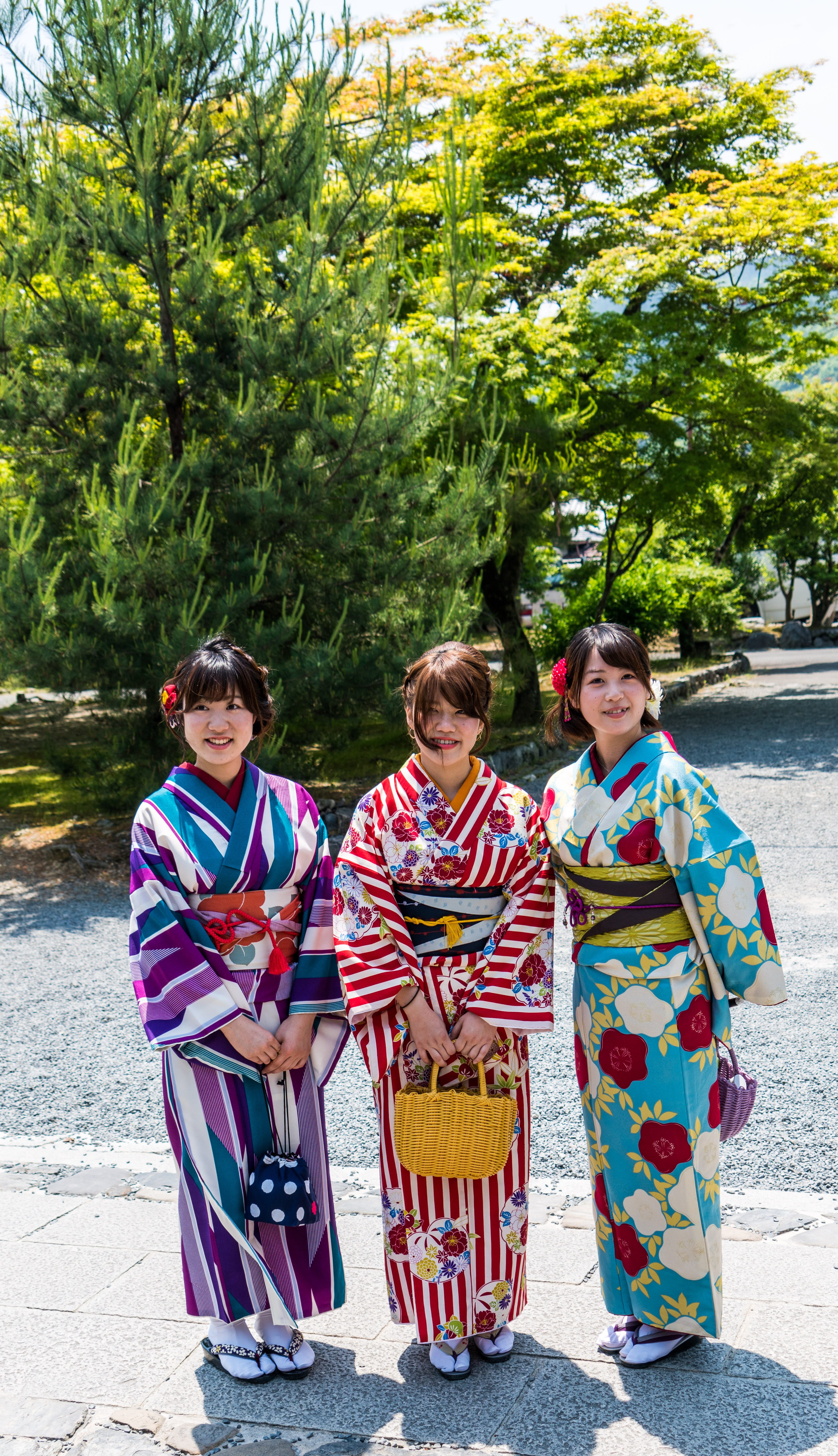 full length, person, 5K, happy people, males, kyoto, group of people, women, tree, nature, leisure activity, girl, pre-adolescent child, standing, lifestyle, Phone HD Wallpaper