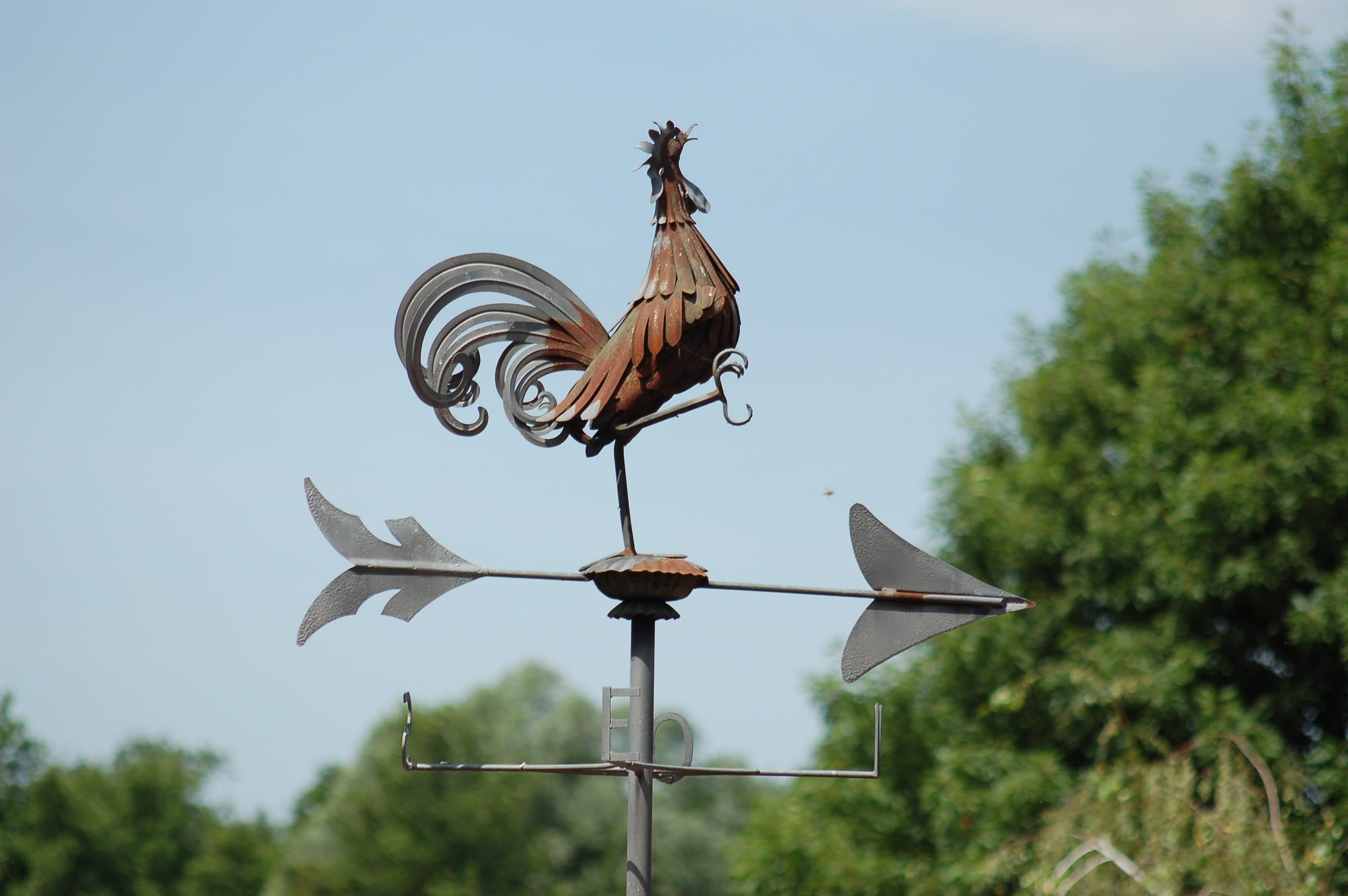 sign, weathervane, animal representation, low angle view, weathercock, no people, weather vane, nature, representation, guidance, plant, sky, communication, HD Wallpaper