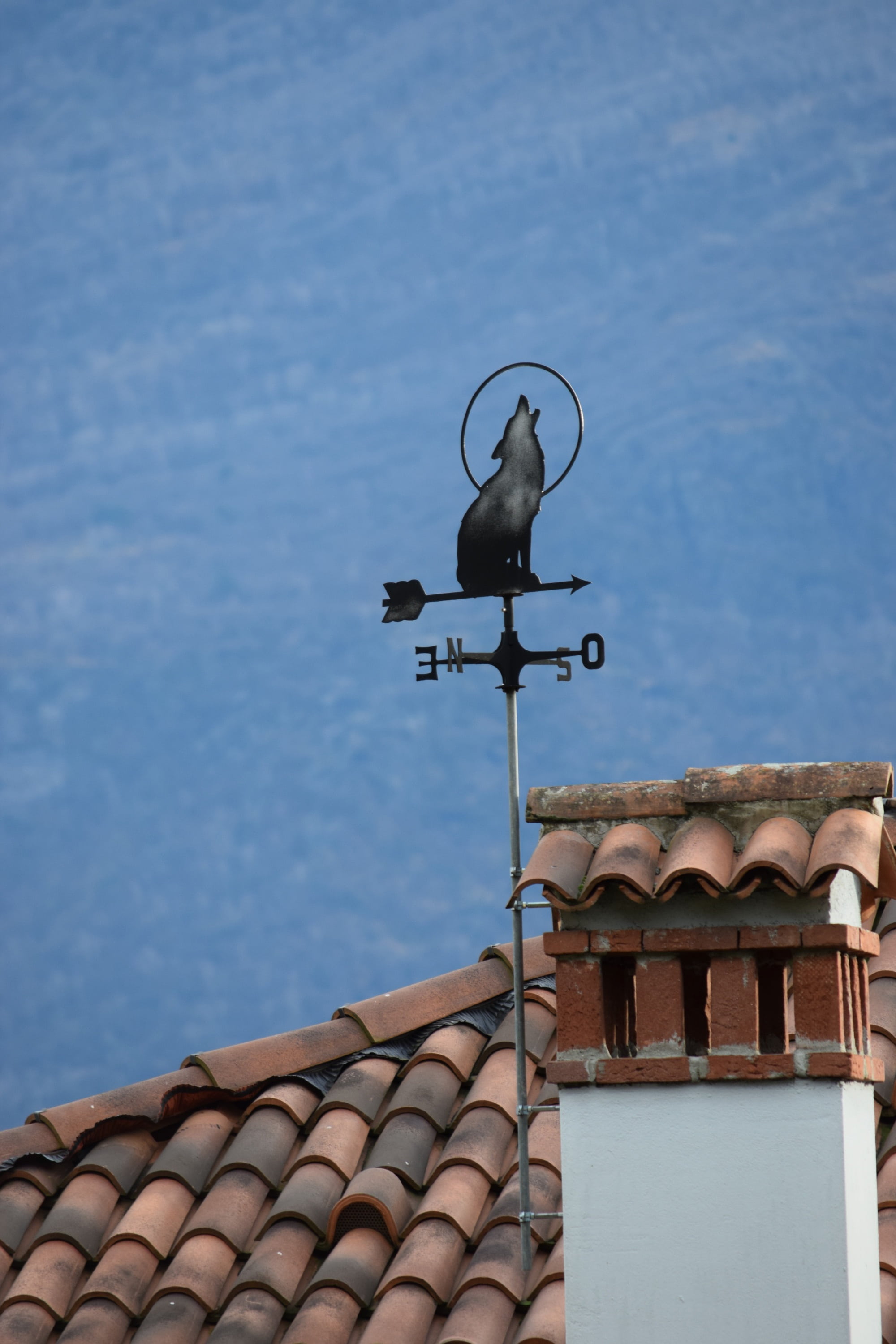 low angle view, day, building exterior, roof tile, 2K, no people, house, wolf, building, gravedona, animal themes, nature, weather vane, built structure, Phone HD Wallpaper