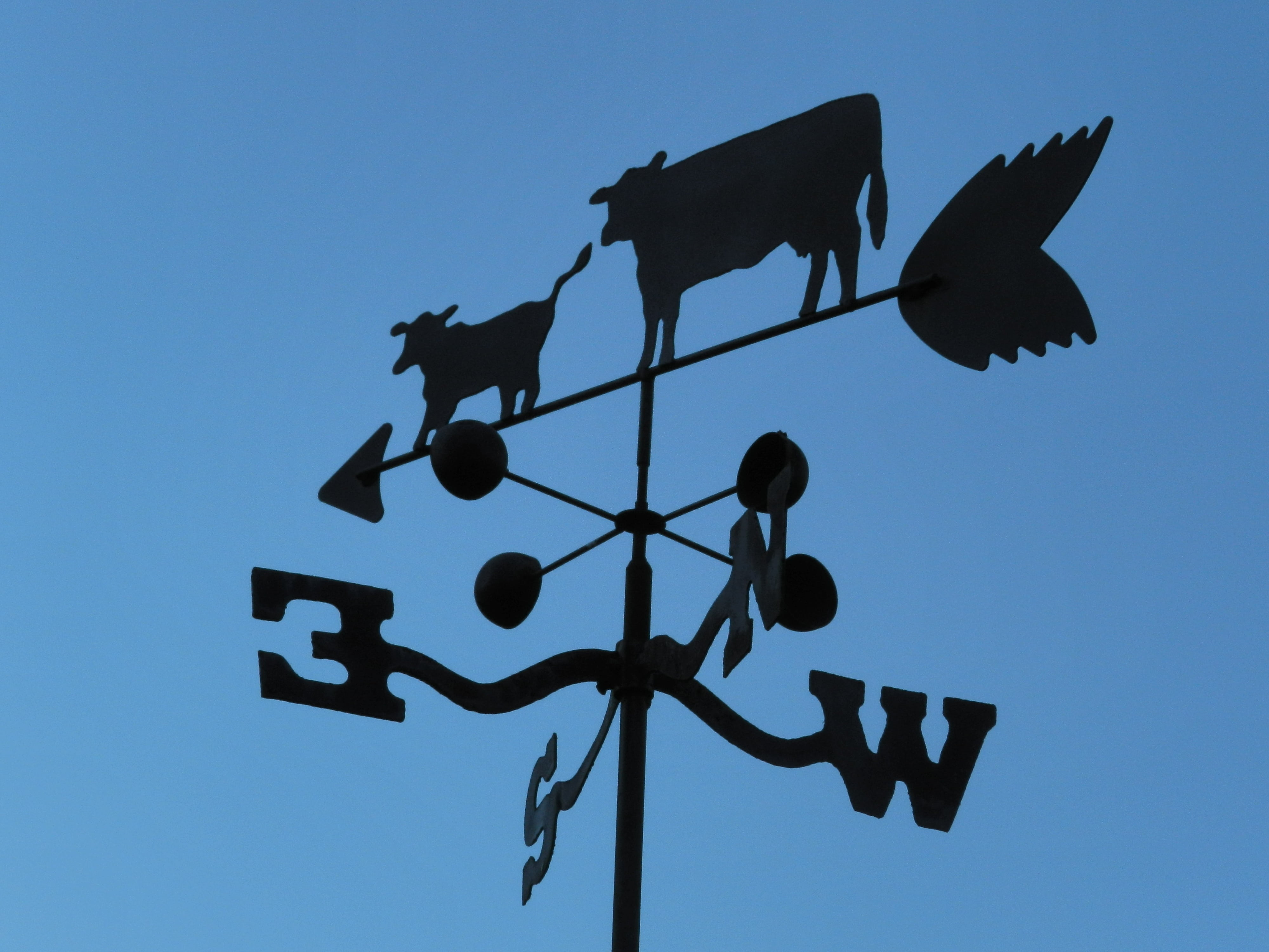 blue, communication, signal, sky, clear sky, outdoors, cow, 4K, metal, blowing, weathervane, day, no people, sign, nature, arrow symbol, wind, guidance, HD Wallpaper