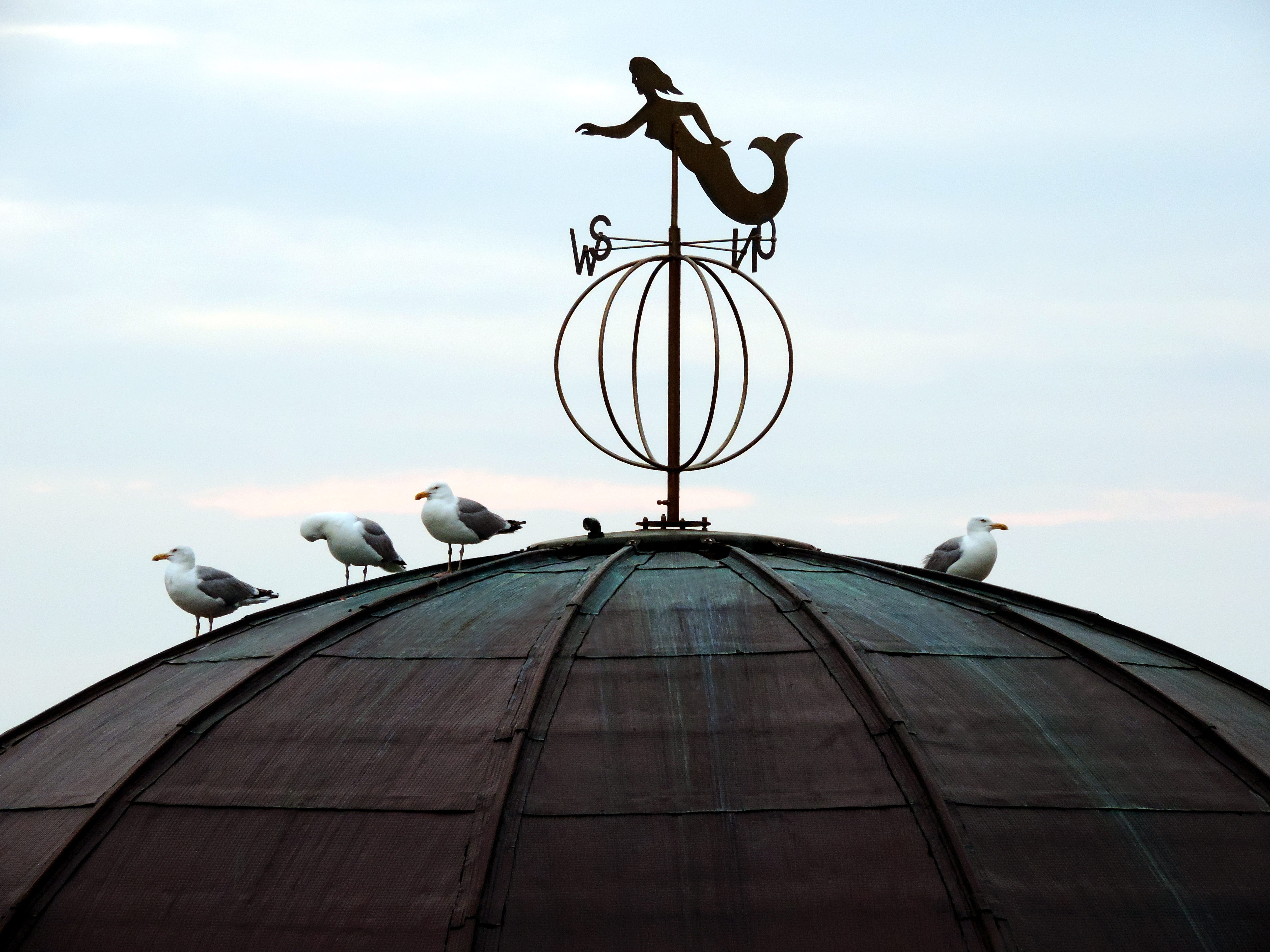 more virgin, the spas rehabilitation clinic, air, birds, points of the compass, wind, group of animals, animal, building exterior, abendstimmung, roof, HD Wallpaper