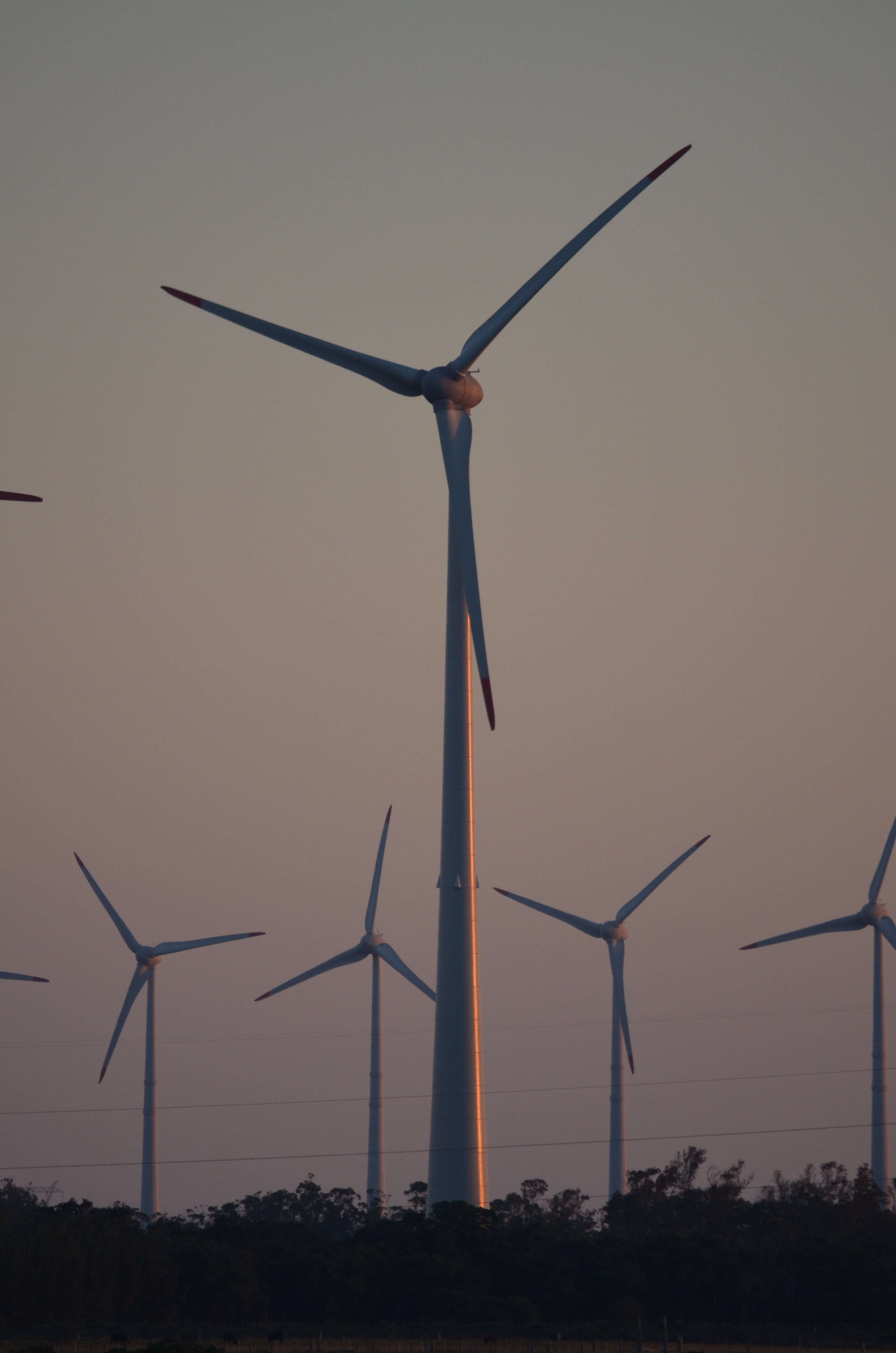 wind farm, wind, turbine, alternative energy, sunset, field, environmental conservation, fuel and power generation, blade, wind turbine, nature, environment, Phone HD Wallpaper