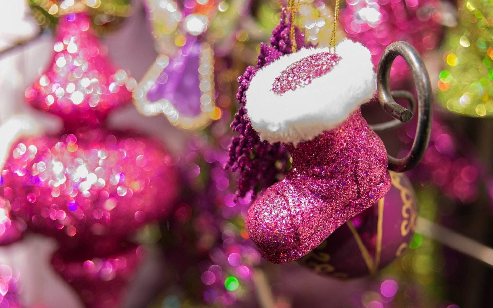 outdoors, flower, focus on foreground, growth, freshness, desktop, decoration, nature, selective focus, fragility, wallpape, plant, holiday, close-up, pink color, HD Wallpaper