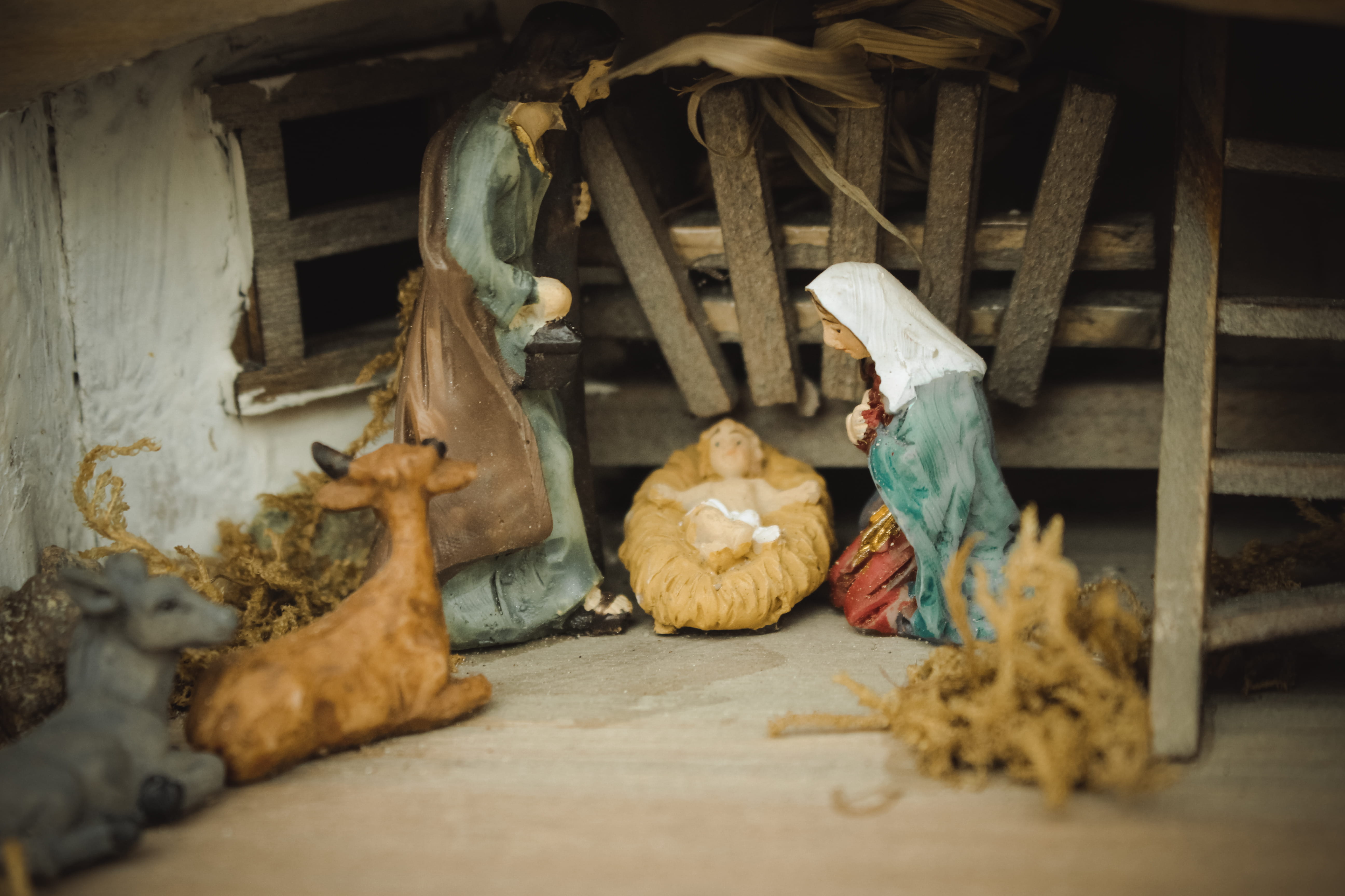 cowboy boot, indoors, figurine, person, toy, bird, apparel, plywood, bible, stuffed toy, day, animal representation, craft, no people, selective focus, HD Wallpaper