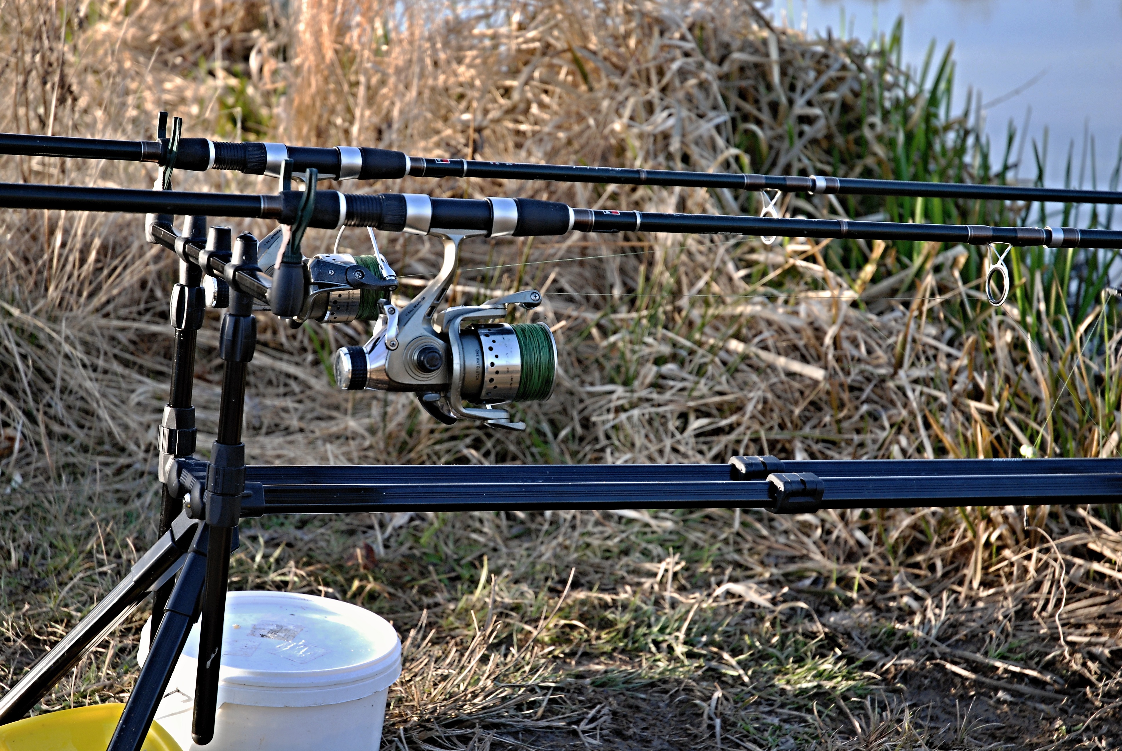 water, grass, security, fishing stjan, metal, rods, fence, mode of transportation, railing, outdoors, barrier, forks, focus on foreground, fishing rod, HD Wallpaper