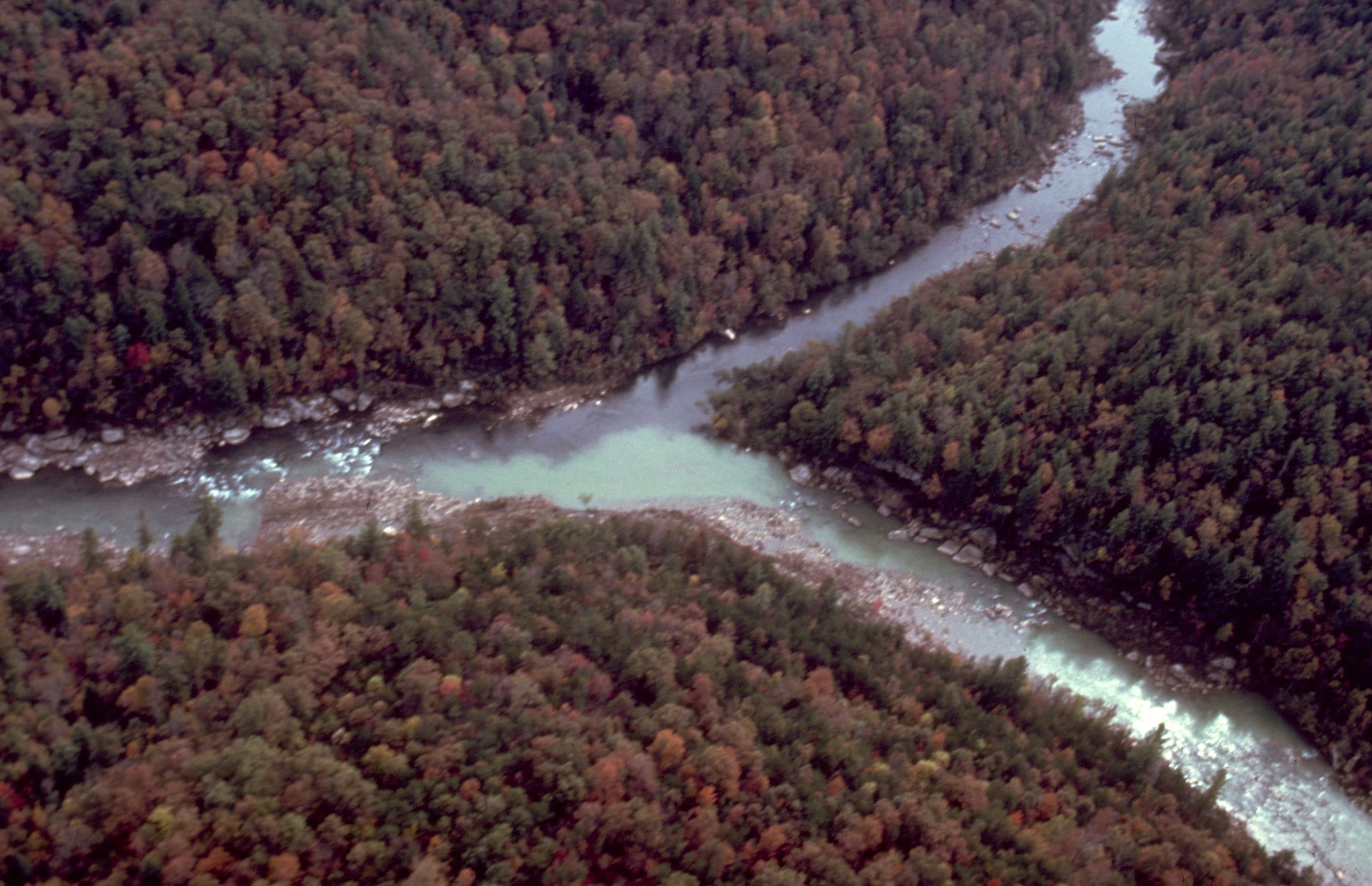 south, landscape, fork, flowing water, flowing, plant, scenics - nature, photo, no people, water, environment, big, aerial, beauty In Nature, Aerial View, HD Wallpaper