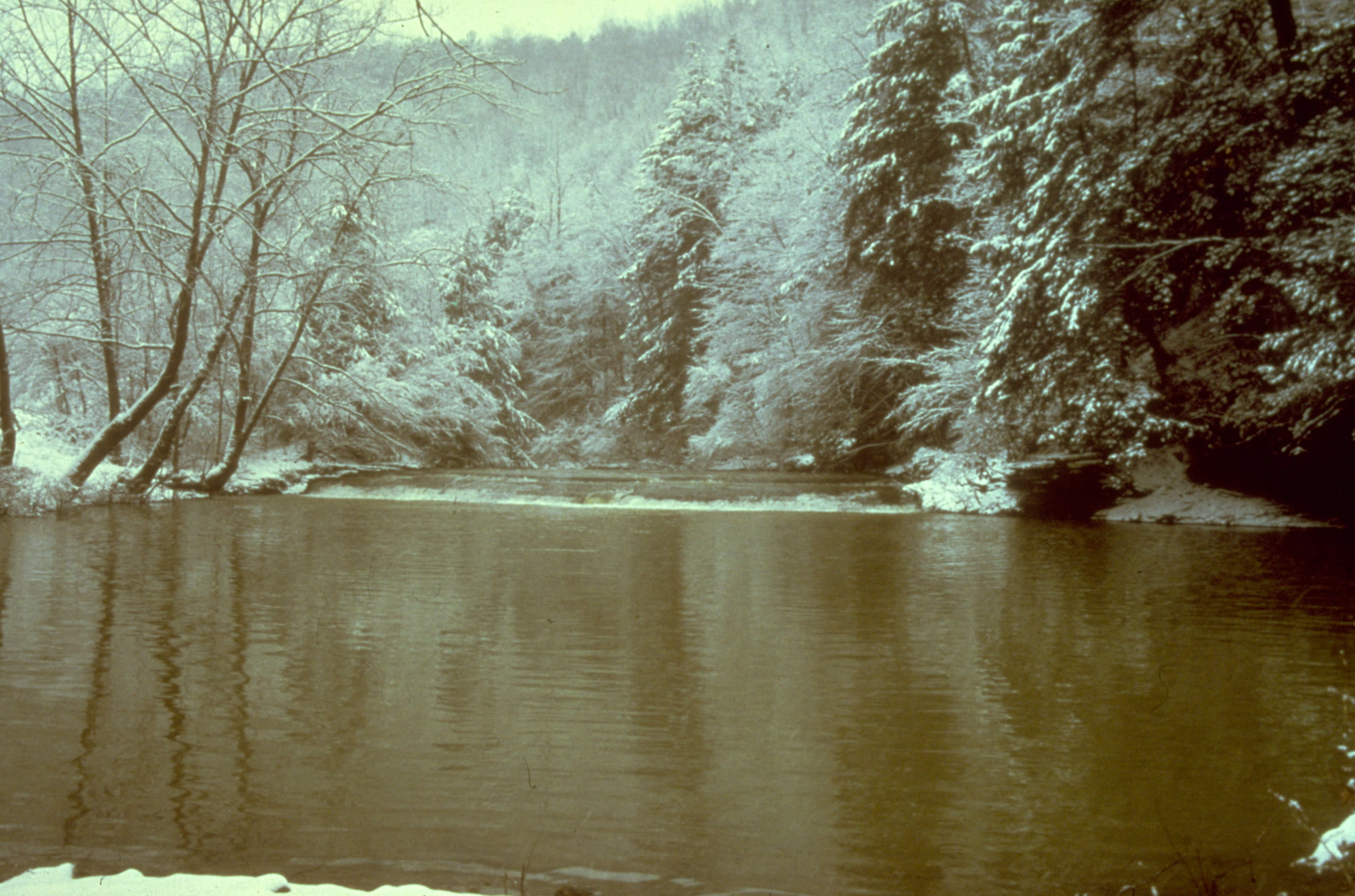 season, cold - Temperature, day, tranquil Scene, fork, landscape, forest, branch, lake, Winter, idyllic, beauty In Nature, Big South Fork, 2K, no People, HD Wallpaper