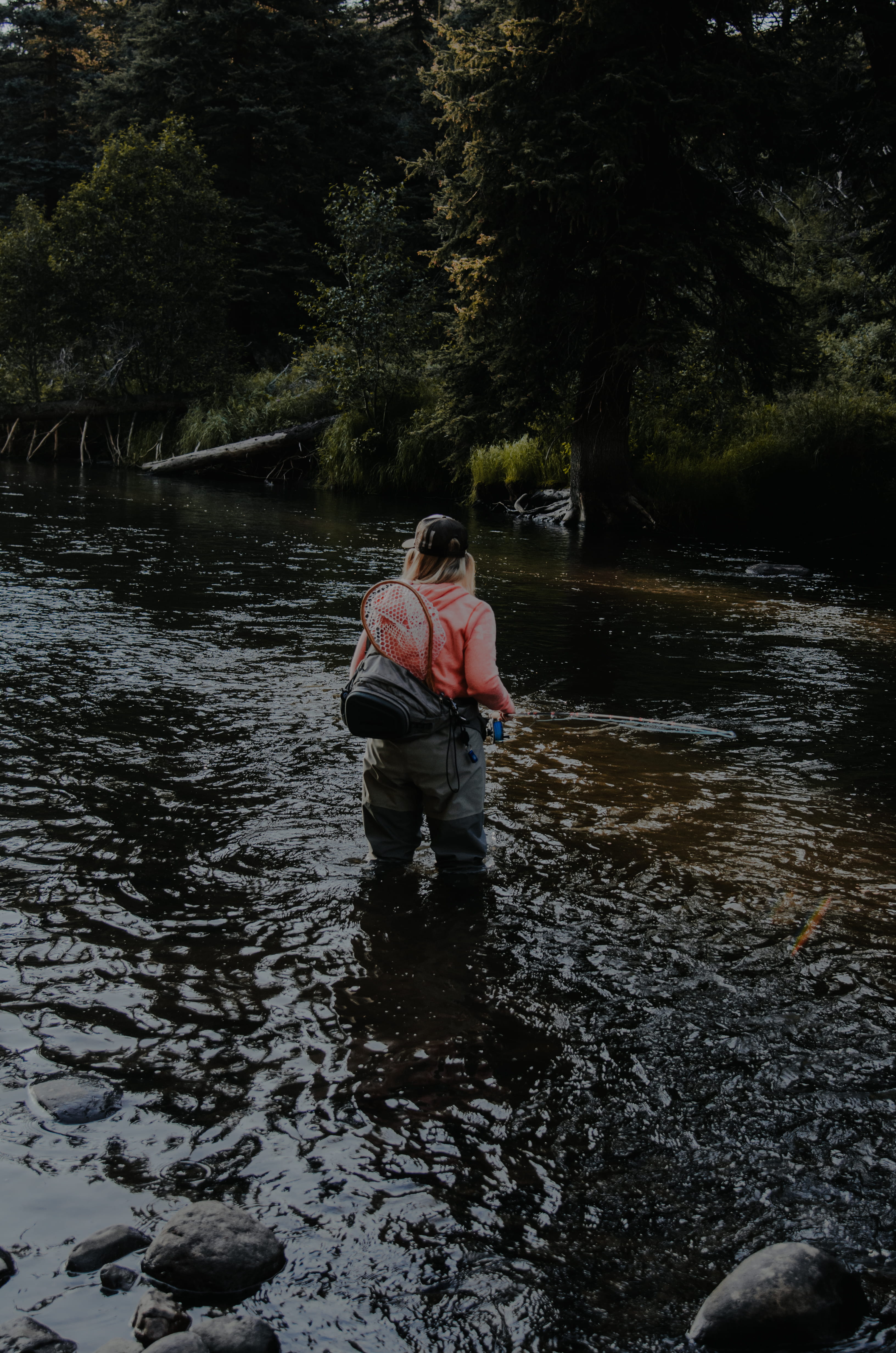 south fork, trees, real people, standing, river, lifestyles, fishing, rear view, nature, day, forest, tranquility, wade, water, fly fishing, united states, Phone HD Wallpaper