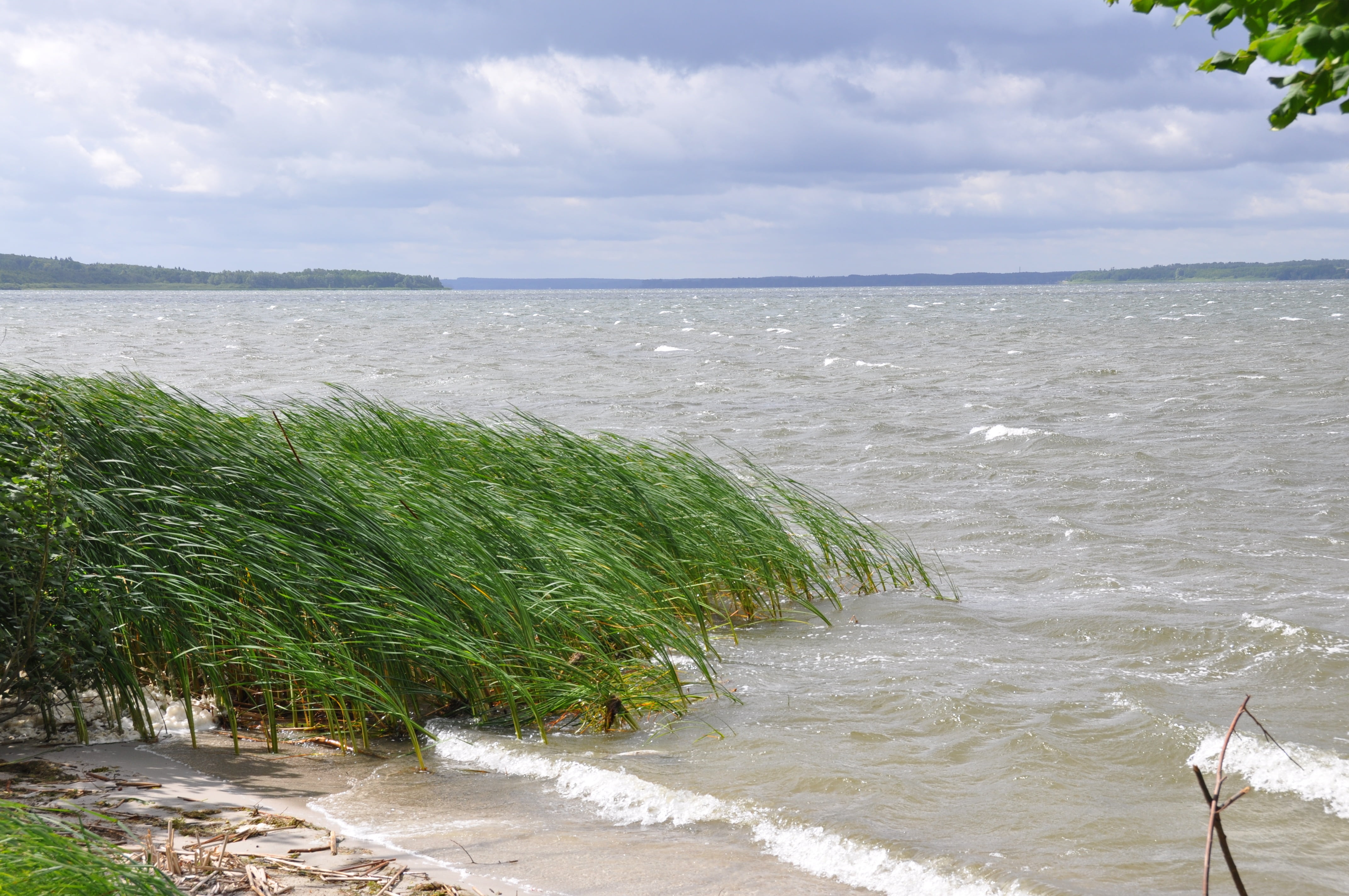sky, flowing water, land, beauty in nature, motion, no people, old schwerin, cloud - sky, reed, plauer see, waves of storm, horizon over water, sand, mecklenburgische seenplatte, HD Wallpaper