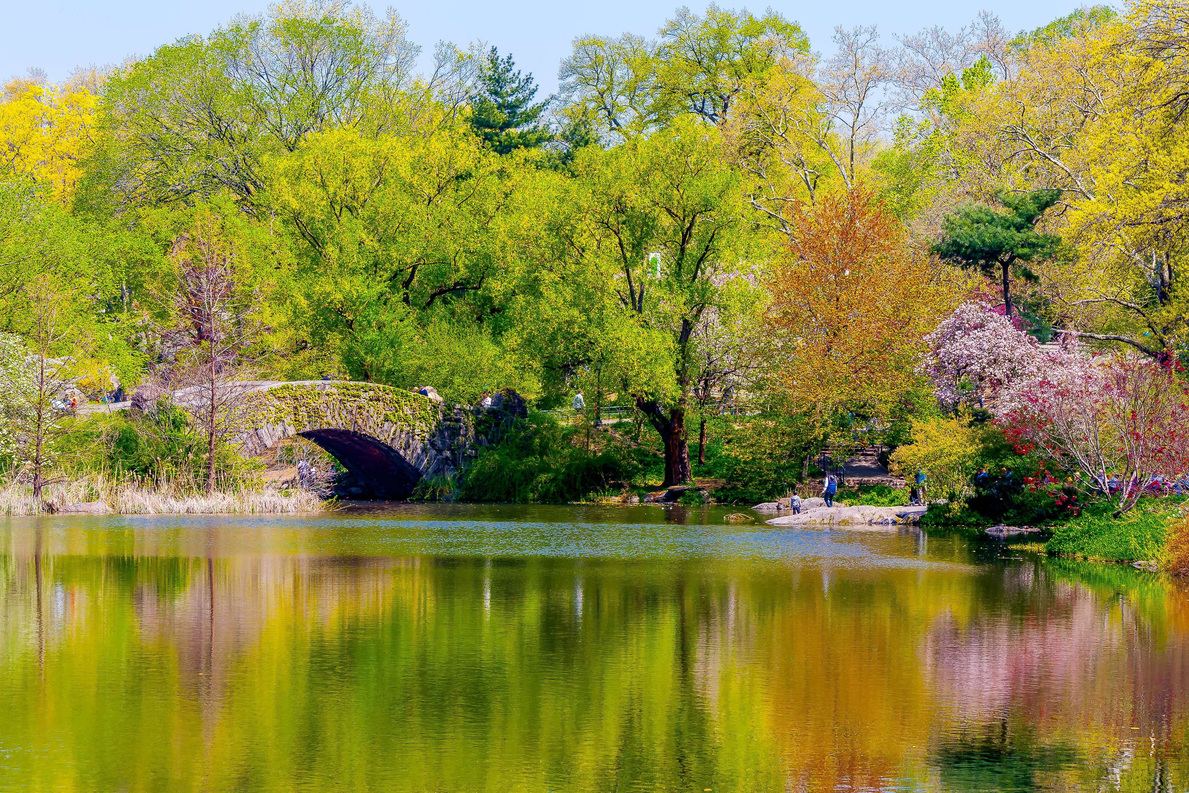 nyc, autumn, beauty in nature, lake, non-urban scene, reflection, gapstow bridge, park, 4K, spring, nature, day, tranquility, water, pond, scenics - nature, HD Wallpaper