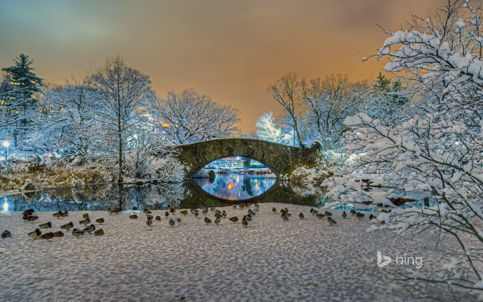 tranquil scene, tranquility, no people, building exterior, art and craft, day, york, nature, bridge, plant, water, bing, outdoors, architecture, HD Wallpaper