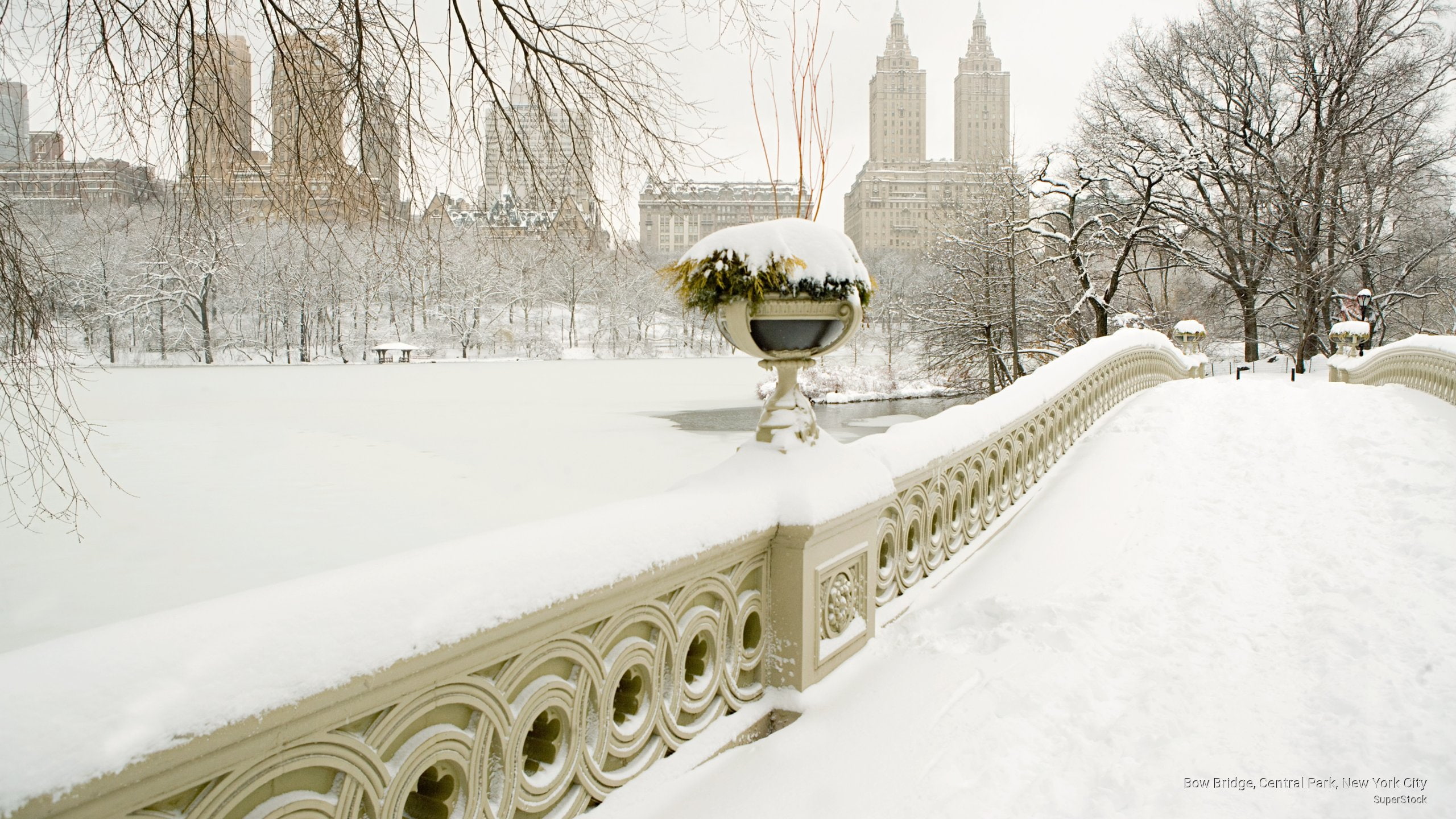 Winter, york, bow, 2K, new, central, bridge, city, park, HD Wallpaper