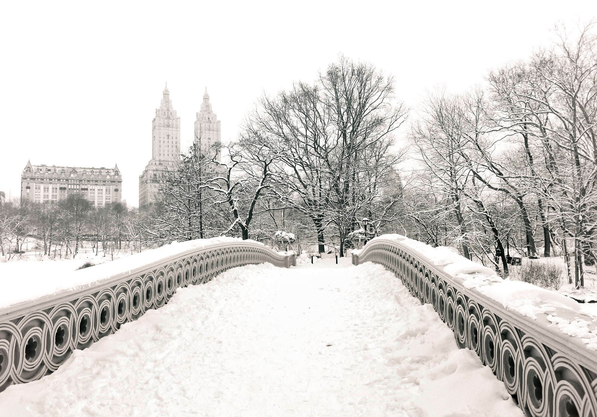 New York City, winter, Bow Bridge, the city, outdoors, connection, NYC, snow, travel destinations, nature, tree, home, footbridge, Central Park, 1080P, HD Wallpaper