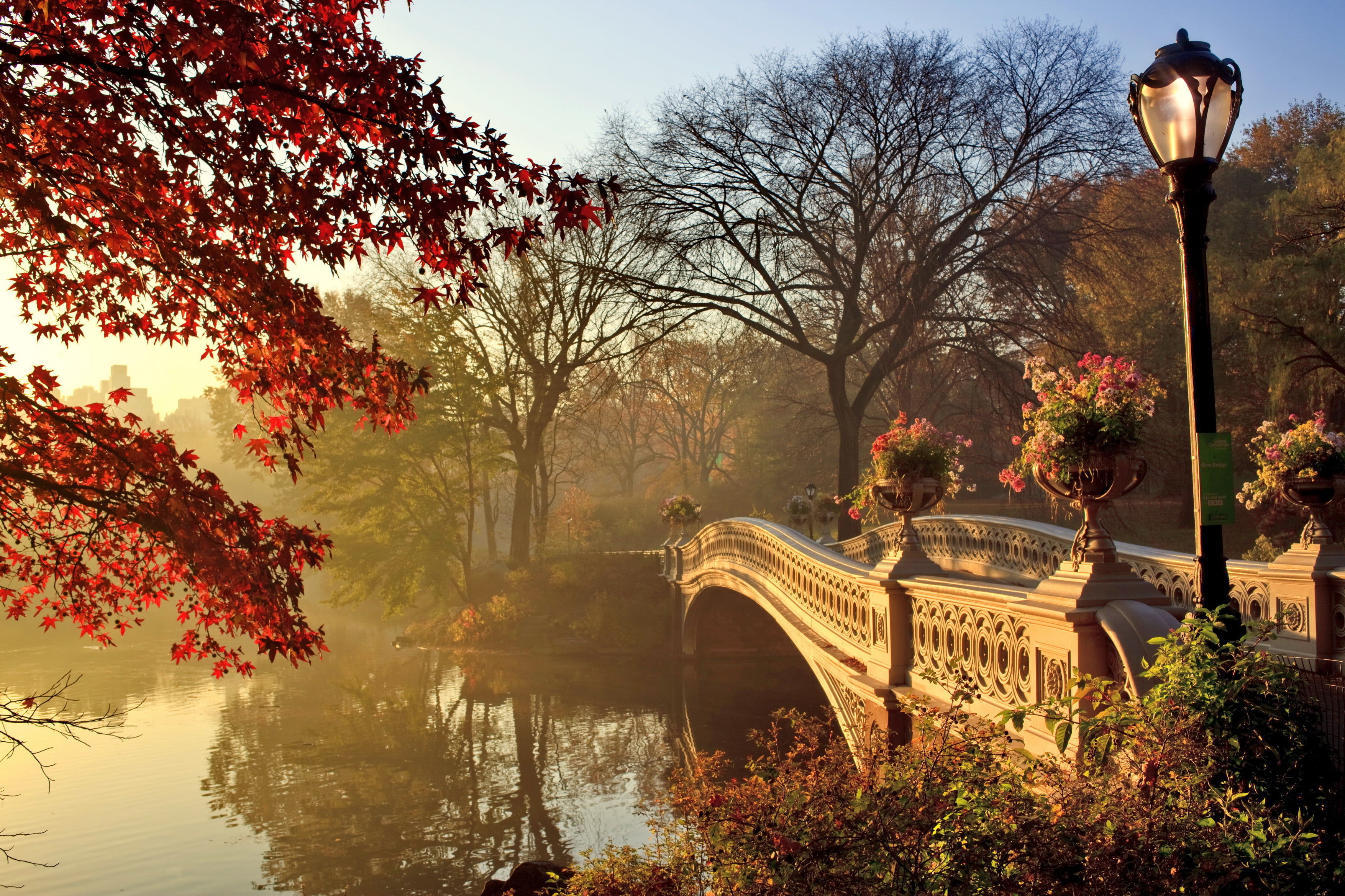 fall season, tree, bow Bridge, sky, change, Park, tourism, autumn, gray, travel Destinations, travel, lighting equipment, 2K, architecture, bridge - Man Made Structure, HD Wallpaper