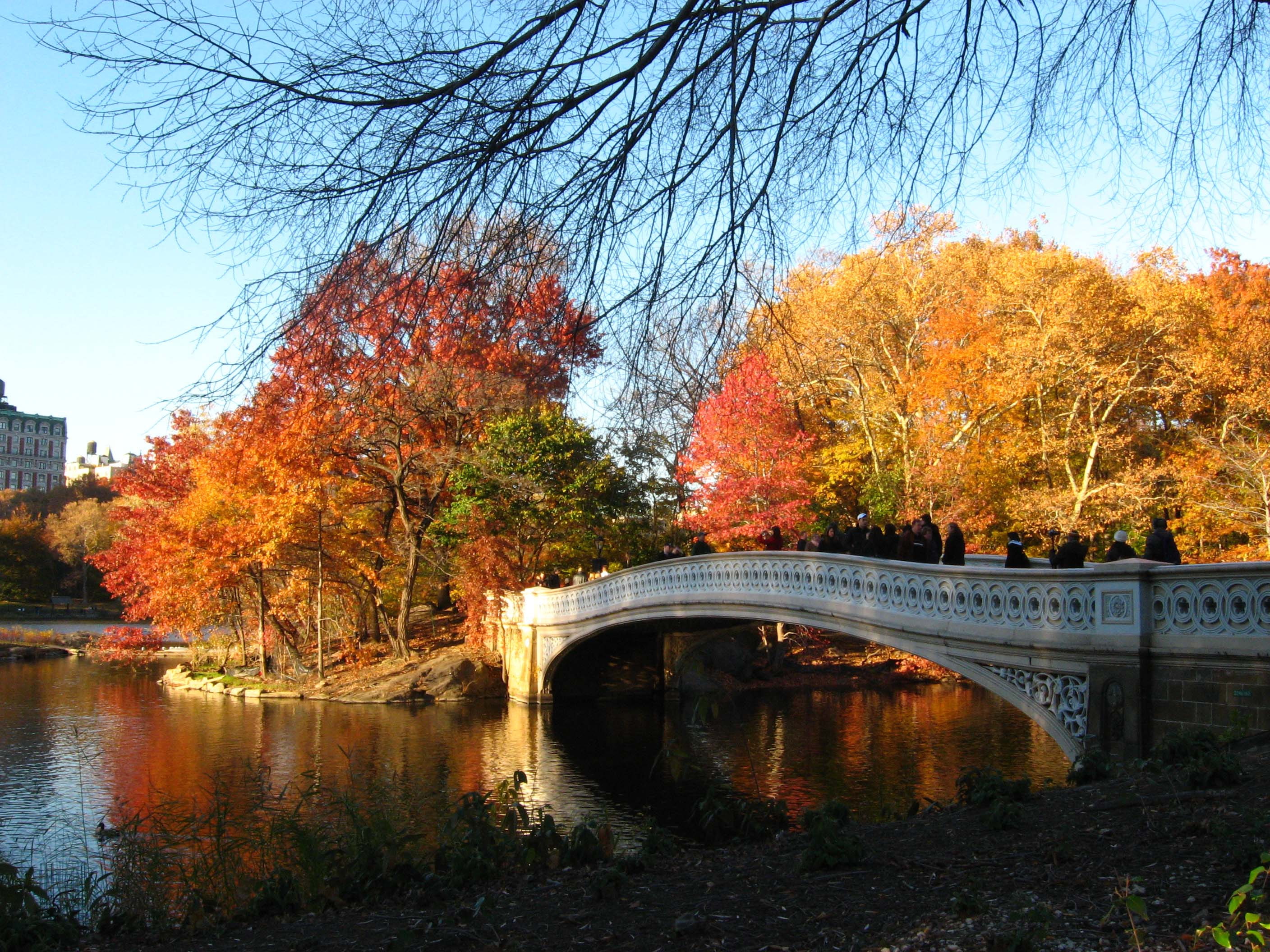 october, fiery, closing, bow, bridge, x, 2K, seasons, nature, hd, autumn, art, HD Wallpaper