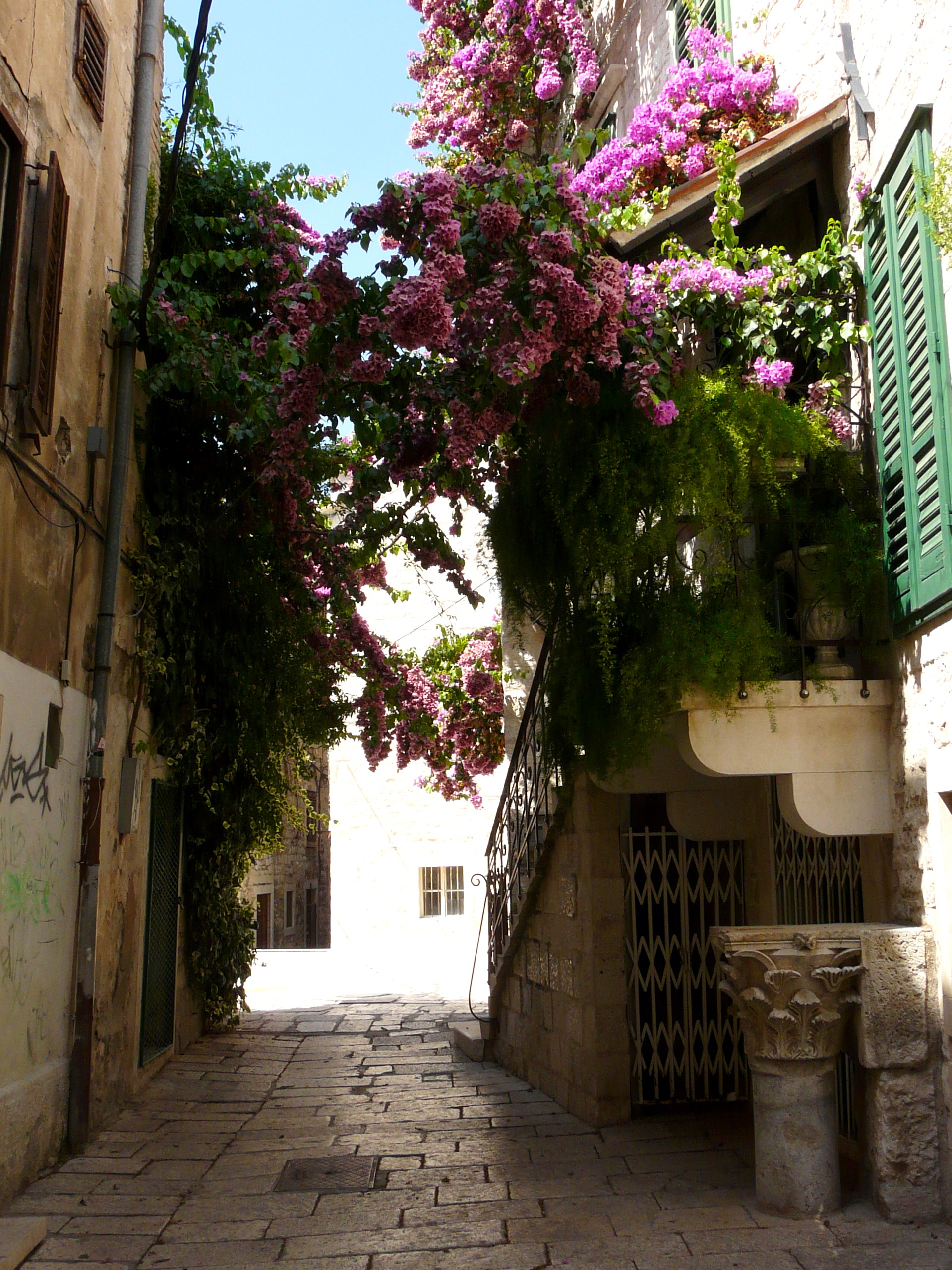 day, nature, flowering plant, alley, tree, architecture, plant, town, house, flower, passage, flowers bow, balcony, flowers bridge, building exterior, street, Phone HD Wallpaper