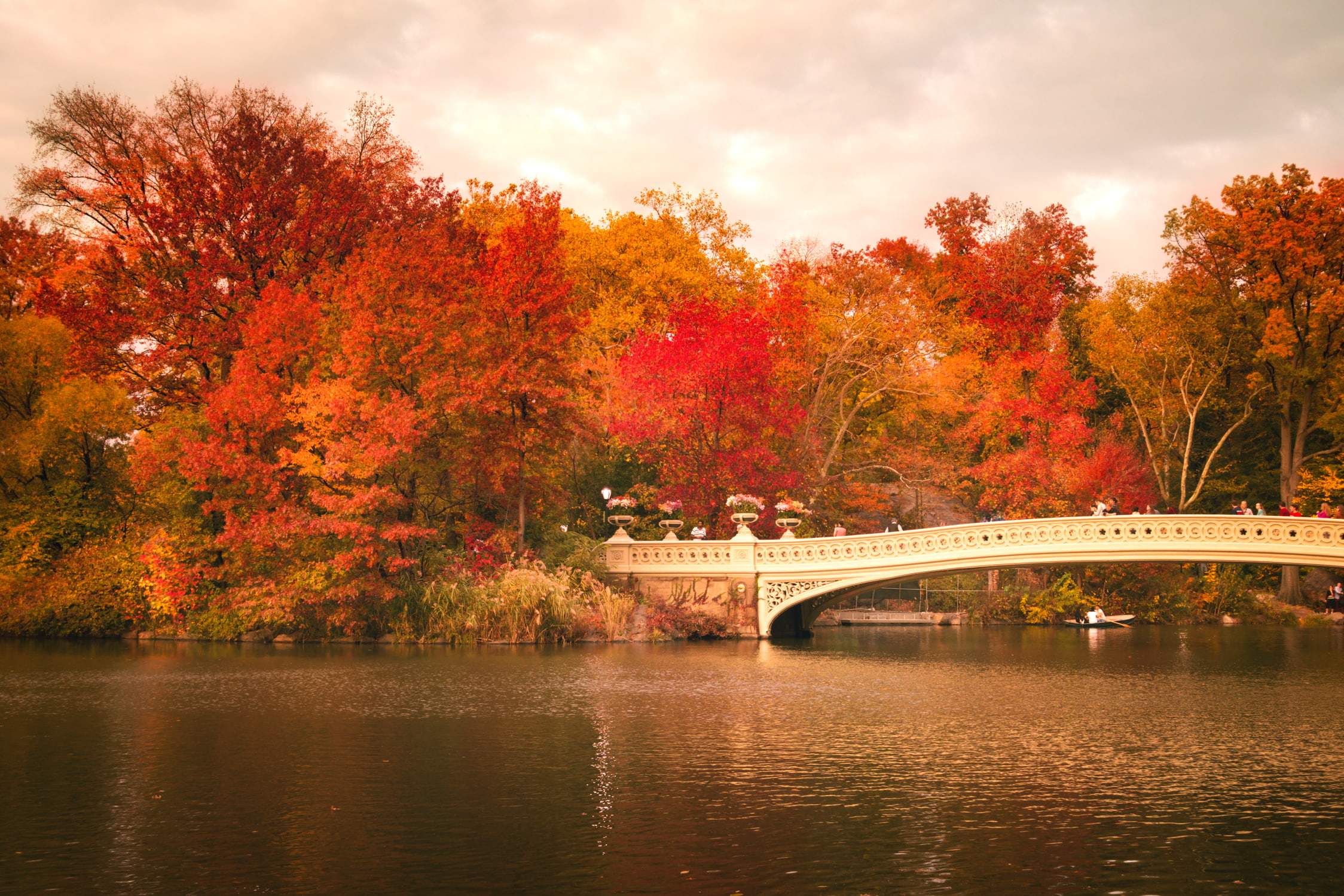 autumn, 1080P, Central Park, people, New York, mirror, leaves, trees, boat, United States, reflection, Bow Bridge, HD Wallpaper