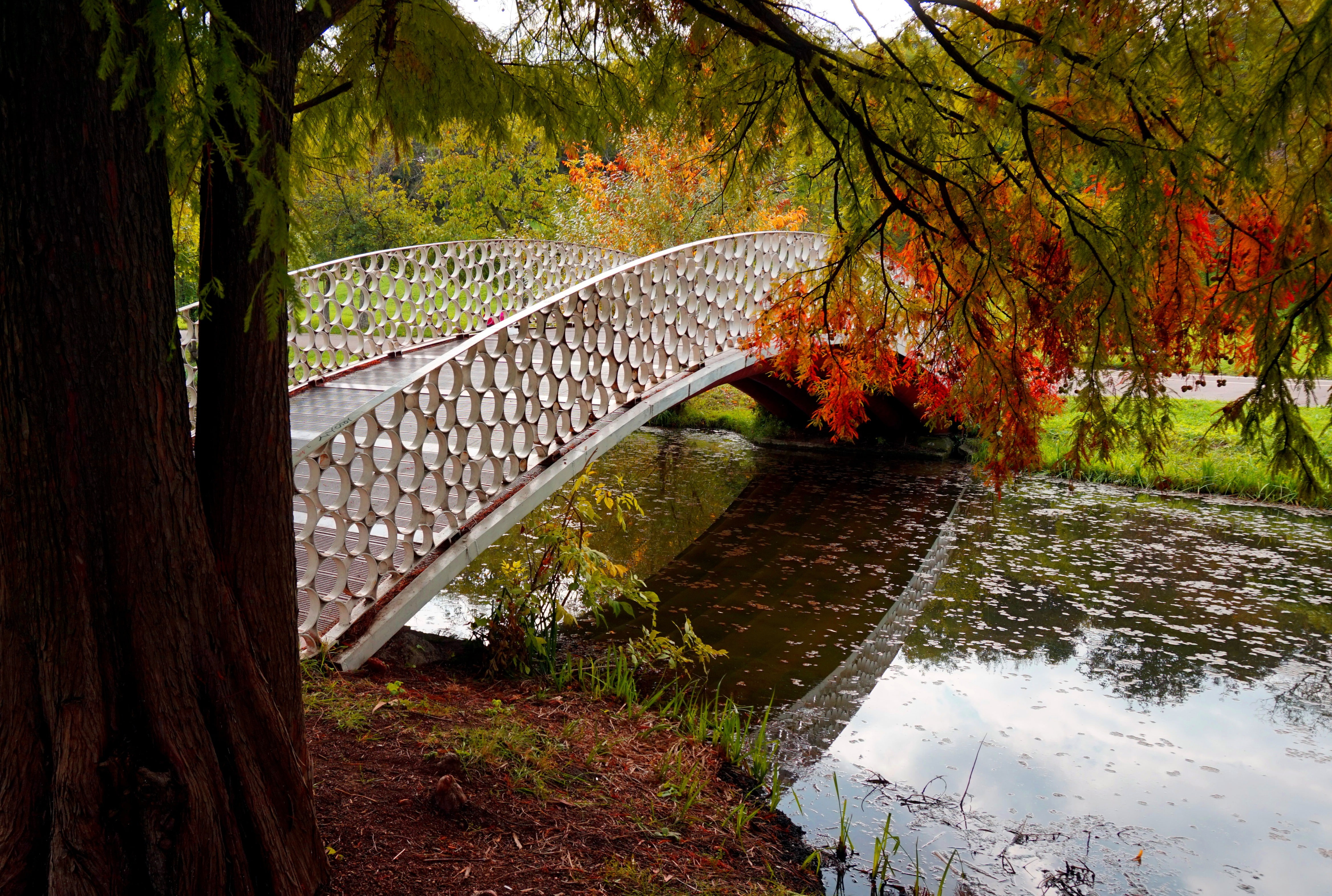 bridge - Man Made Structure, yellow, central Park, leaf, lake, reflection, park - Man Made Space, no People, bridge, colors, canal, day, metal, nature, HD Wallpaper