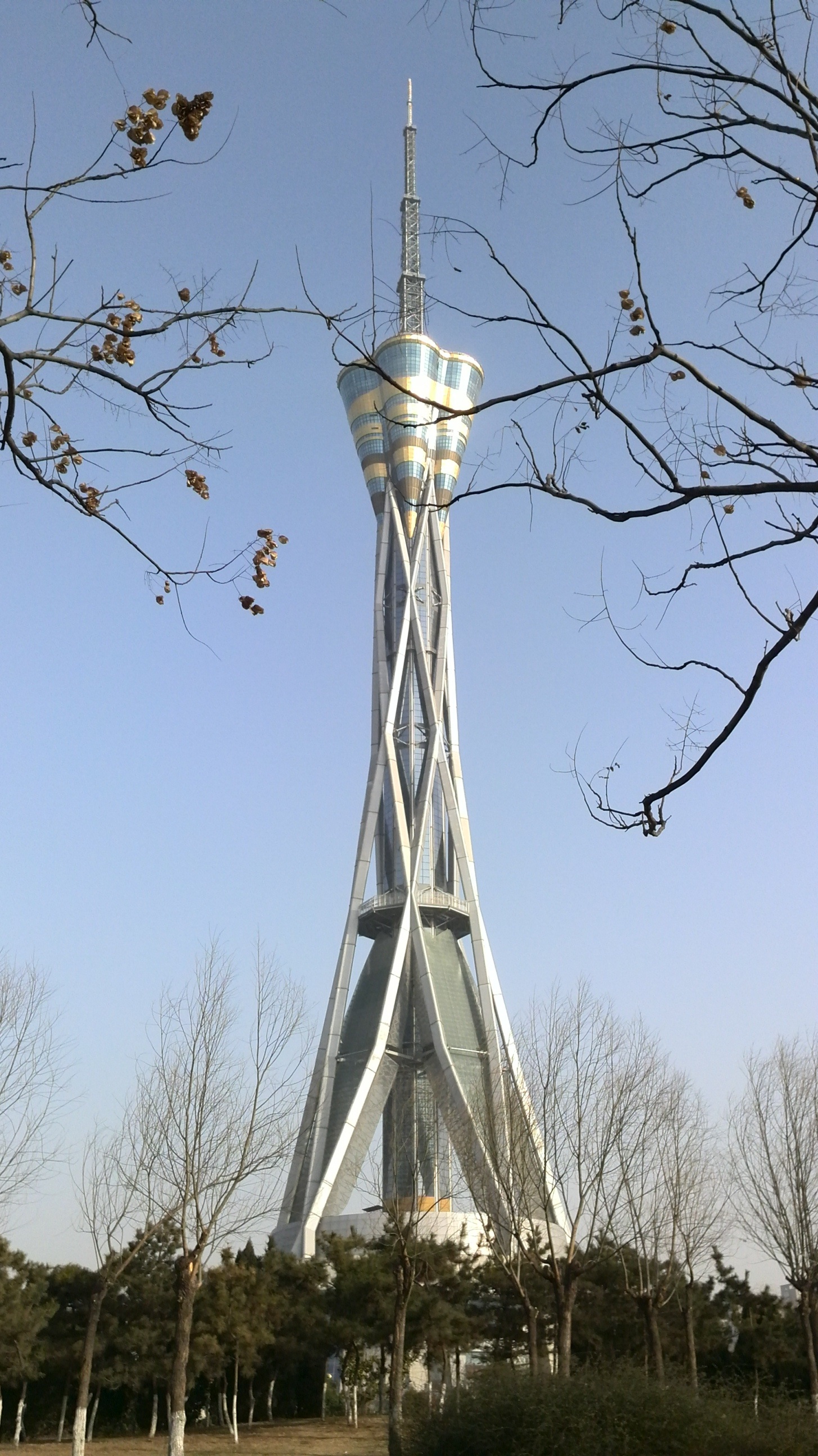 metal, clear sky, henan tv station, low angle view, fu in henan province, autumn, outdoors, sky, blue, bare tree, built structure, lighting equipment, land, Phone HD Wallpaper