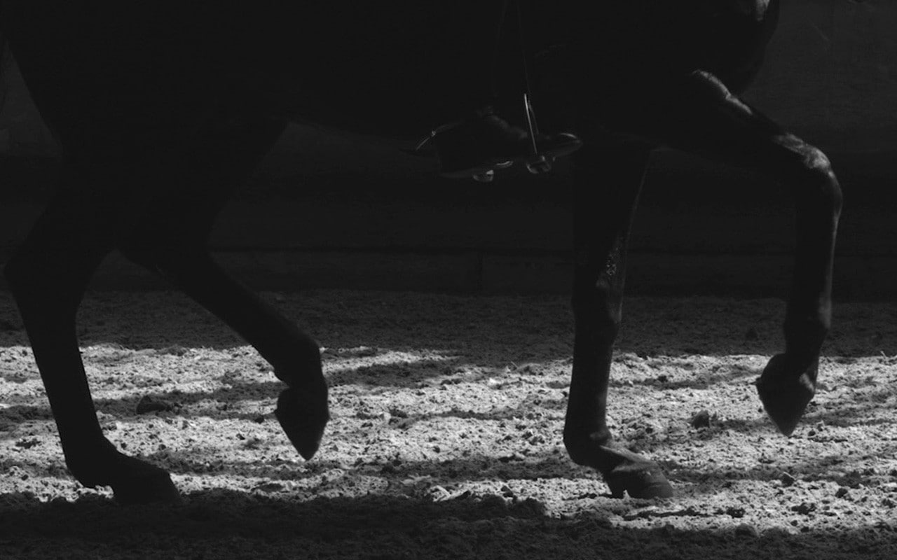 720P, equitation saumur horse horse riding, HD Wallpaper