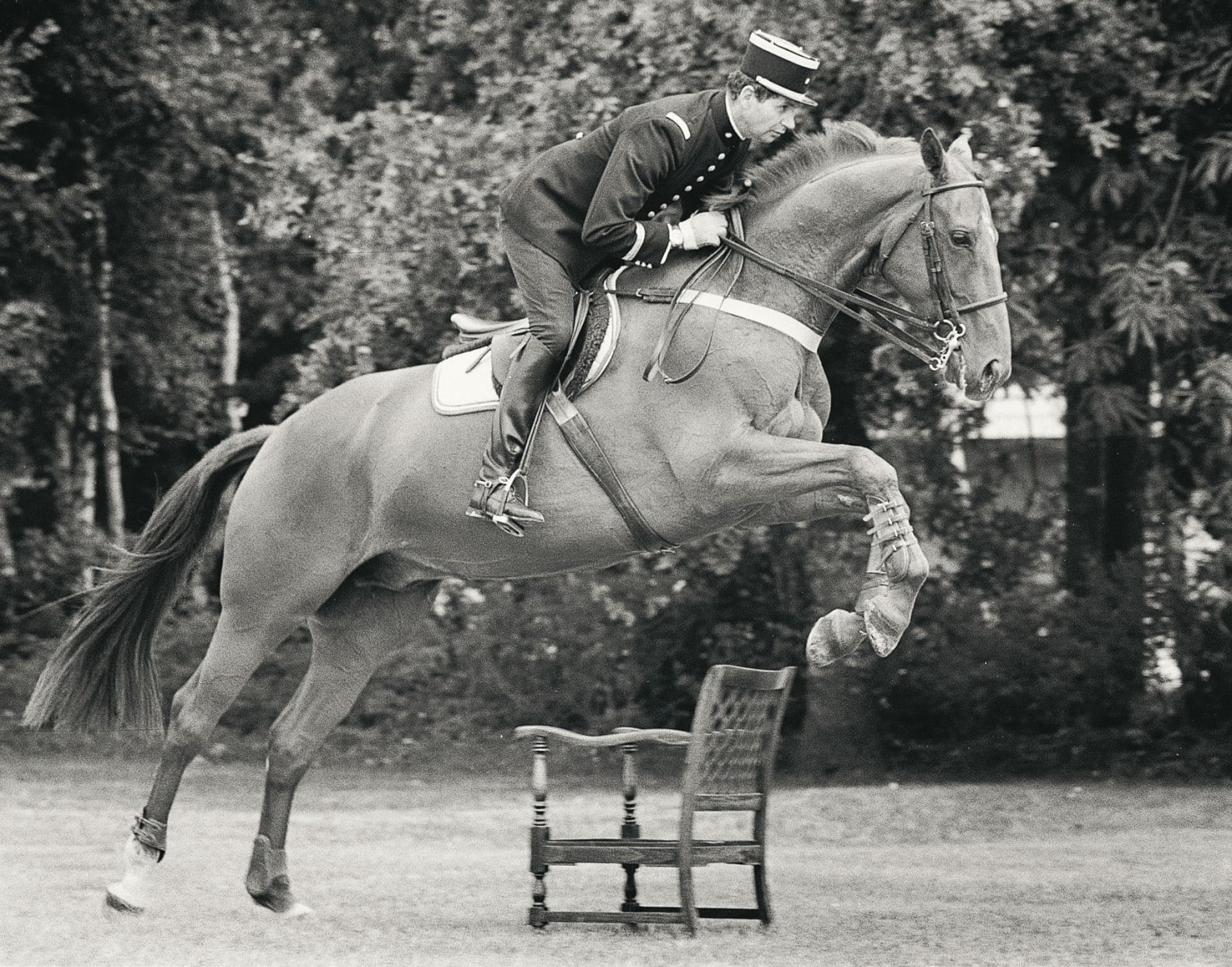 Saumur, Equitation, Horse Riding, 720P, horse, HD Wallpaper