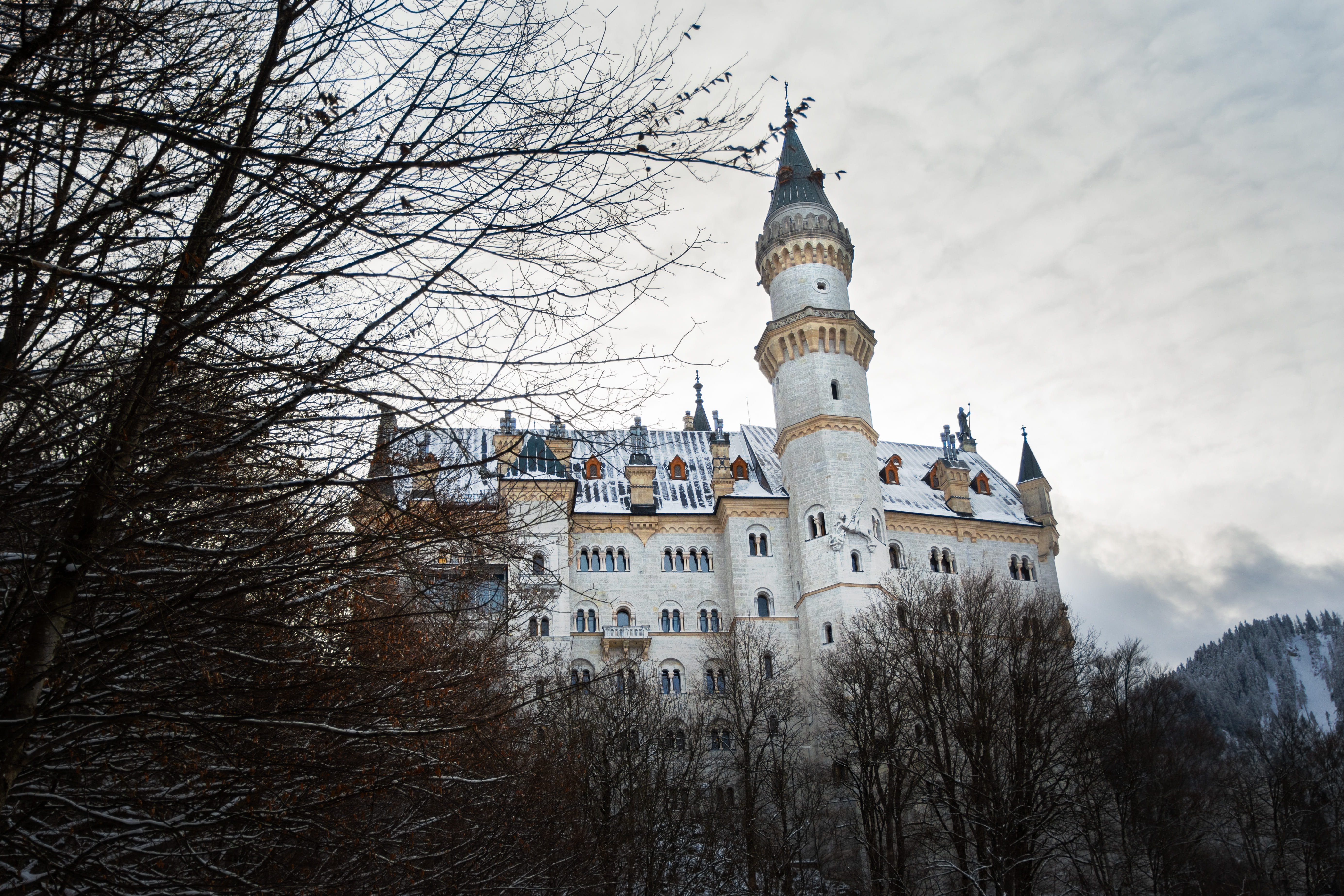 neuschwanstein, outdoors, building exterior, romantic, history, trip, place of worship, belief, spirituality, bare tree, castle, trees, disney castle, tree, HD Wallpaper