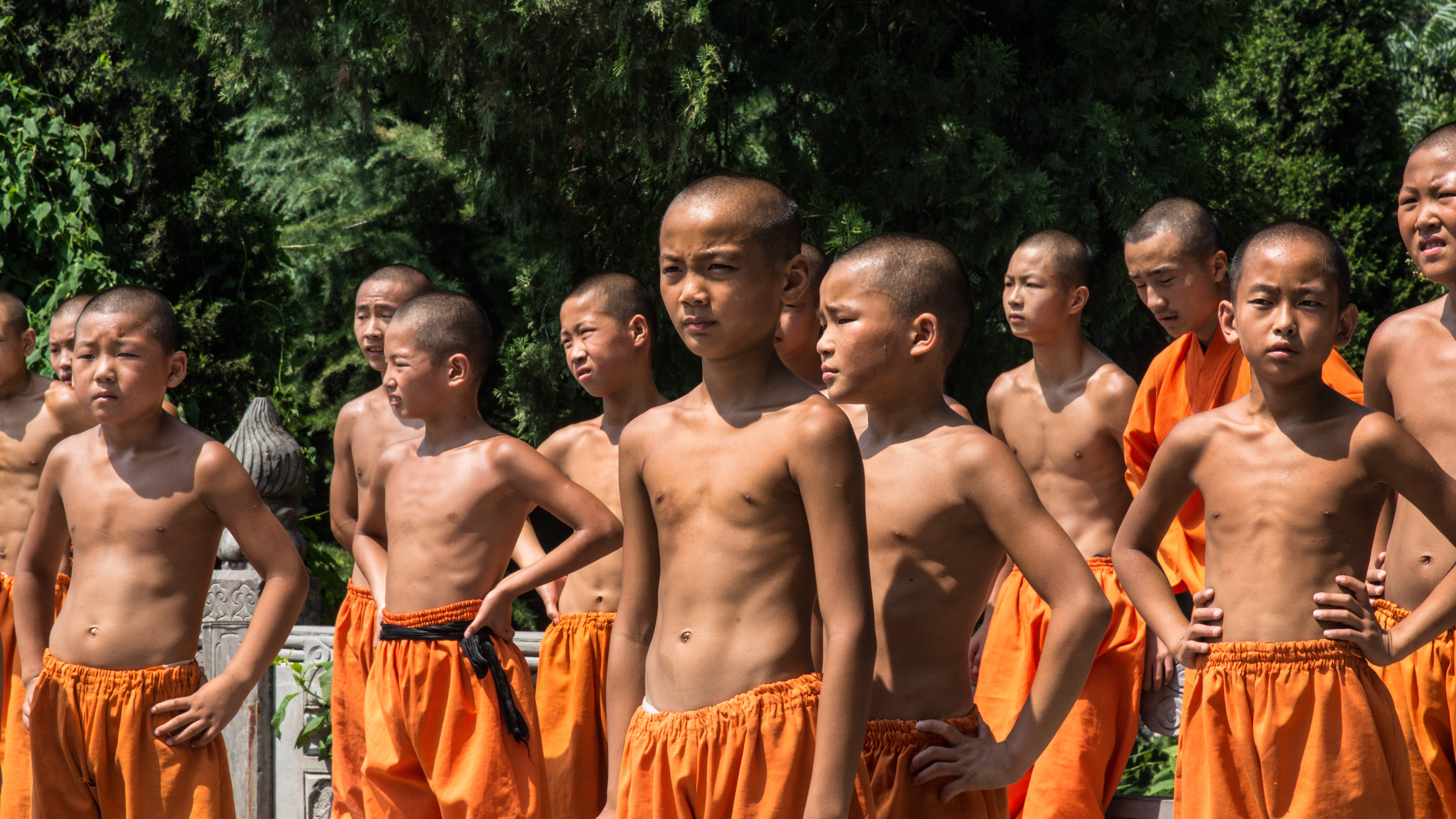 standing, day, adult, china, front view, group of people, adolescence, daytime, monastery, childhood, nature, trees, shirtless, teenager, henan, happiness, HD Wallpaper