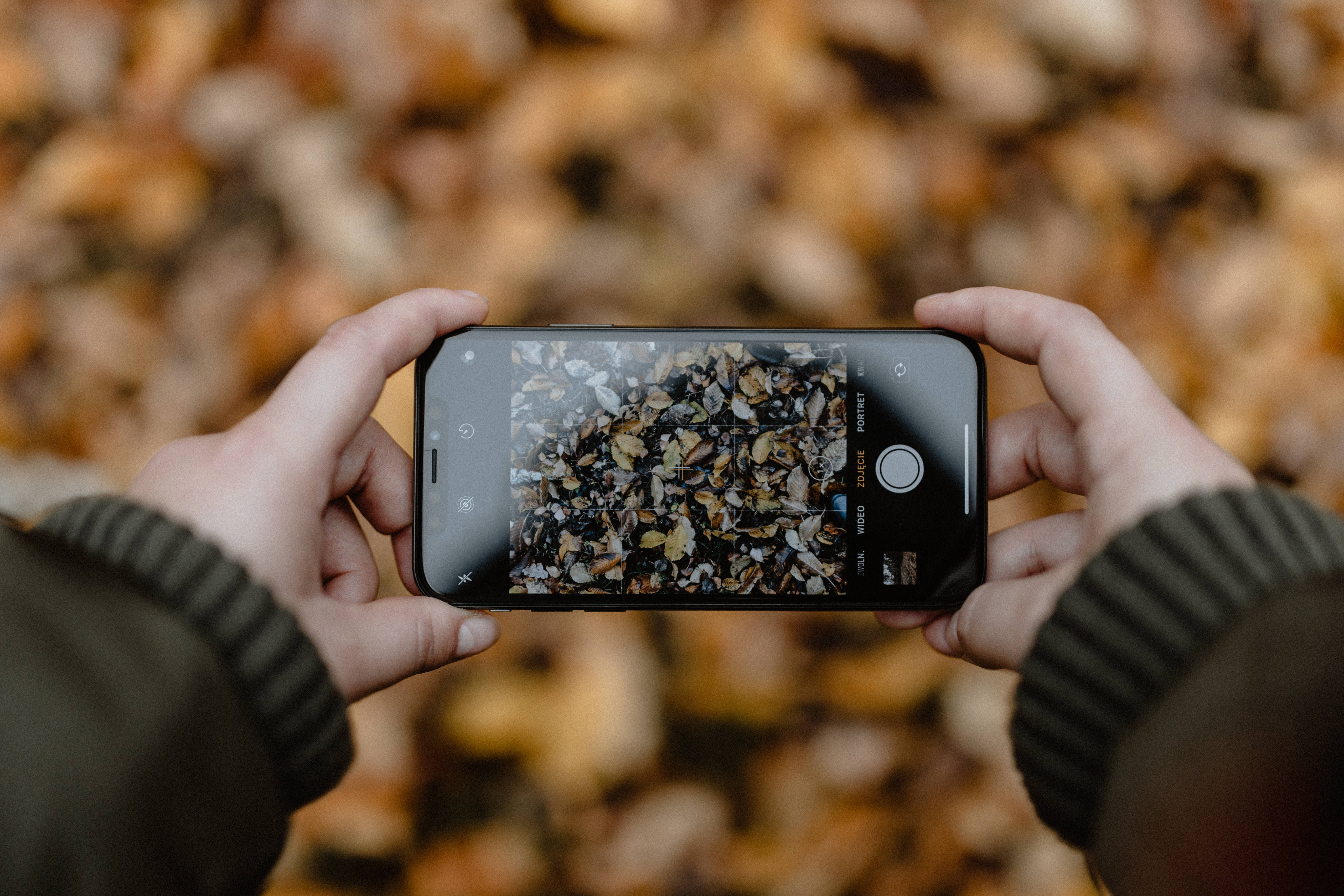 november, holding, photo messaging, adult, photography themes, foggy, wireless technology, communication, fall, human hand, activity, camera, smart phone, HD Wallpaper