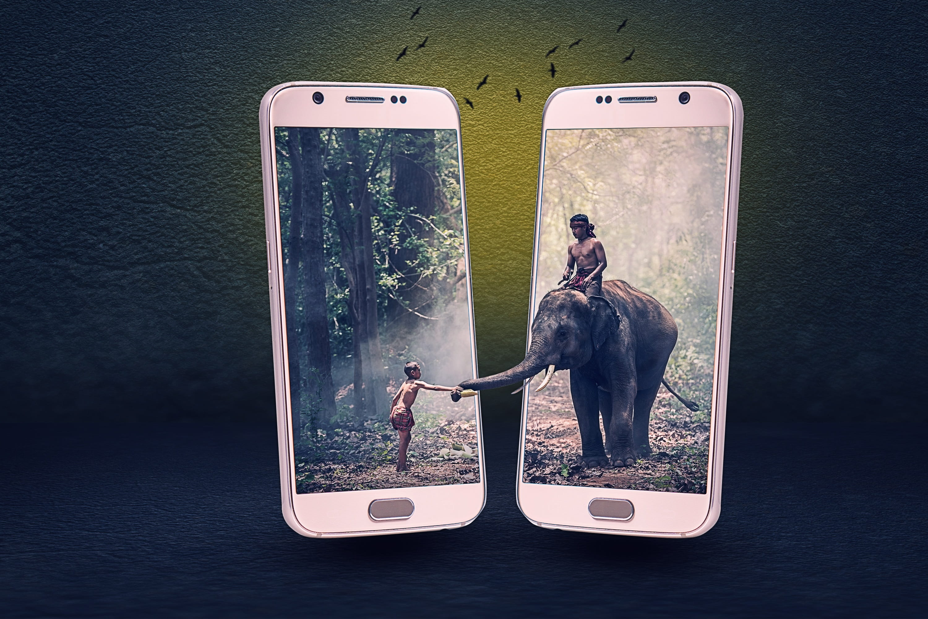elephant, boy, mammal, screen, photographing, humor, manipulation, telephone, no people, smart phone, animal, connection, indoors, wireless technology, HD Wallpaper