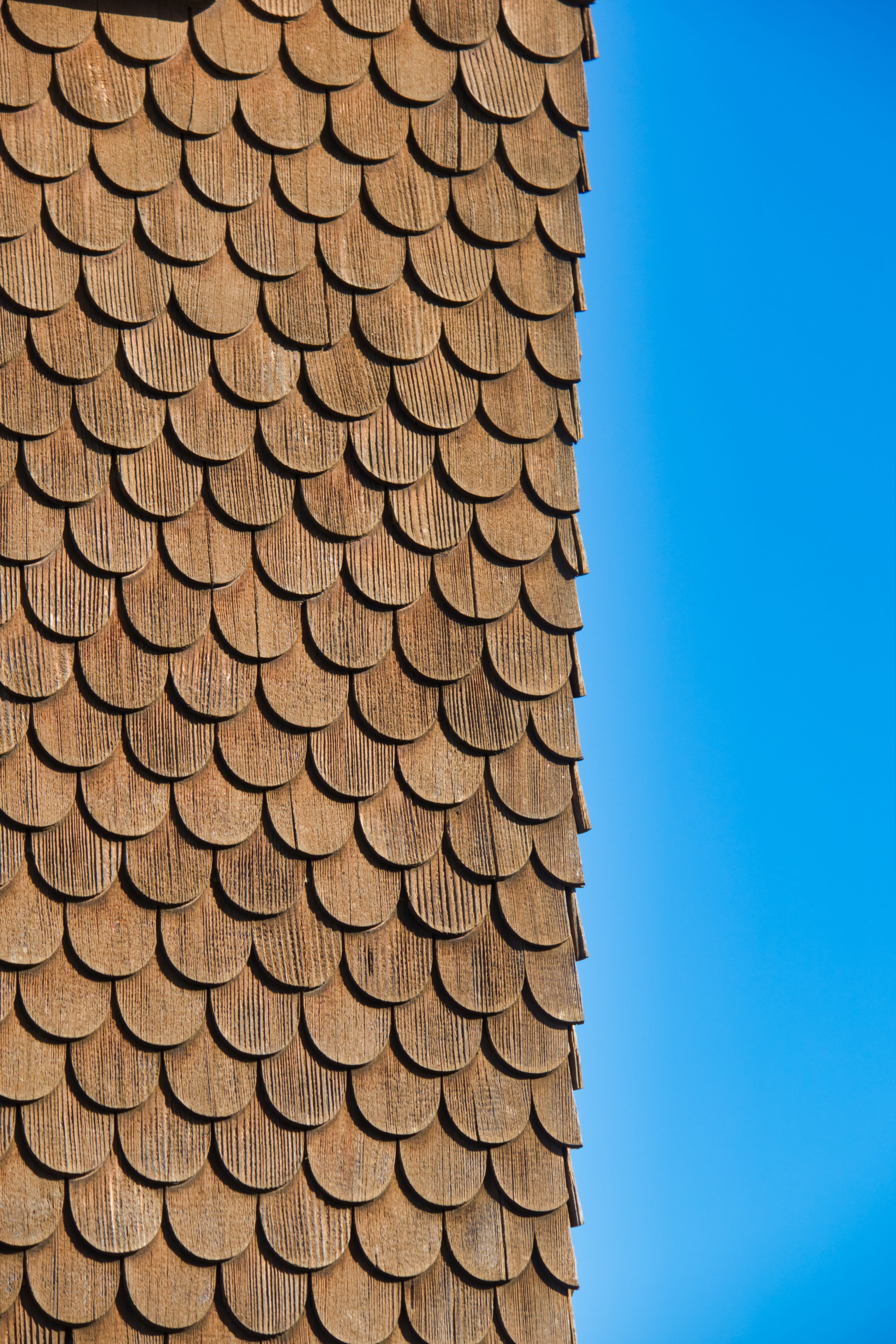 in a row, repetition, shingle, sky, large group of objects, nature, facade cladding, 5K, abundance, day, no people, close-up, sunlight, wood shingles, Phone HD Wallpaper